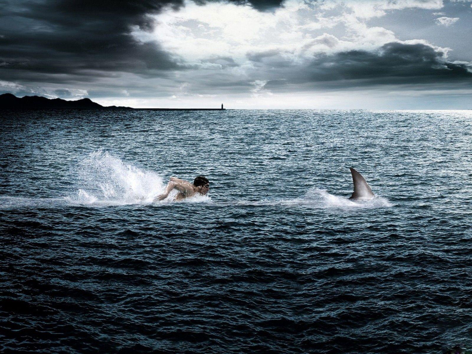 1600x1200 Download Swimming Wallpaper 1600x1200