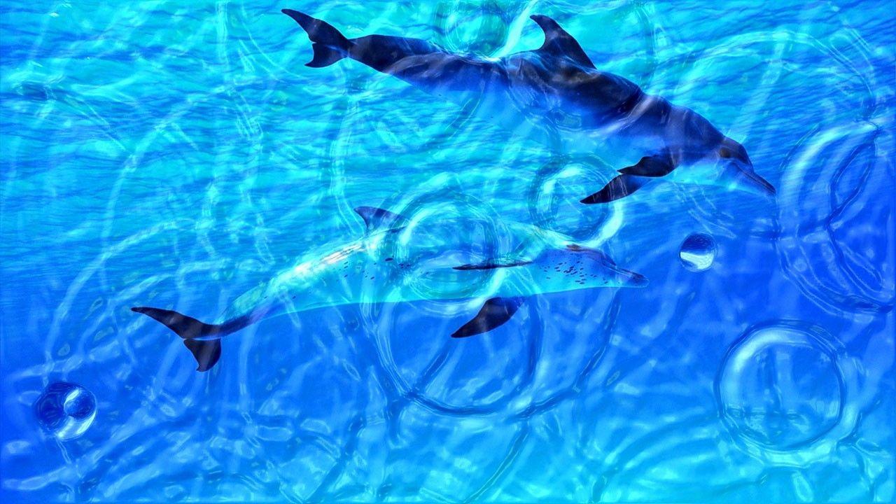 1280x720 Watery DeskD 3.999 Download