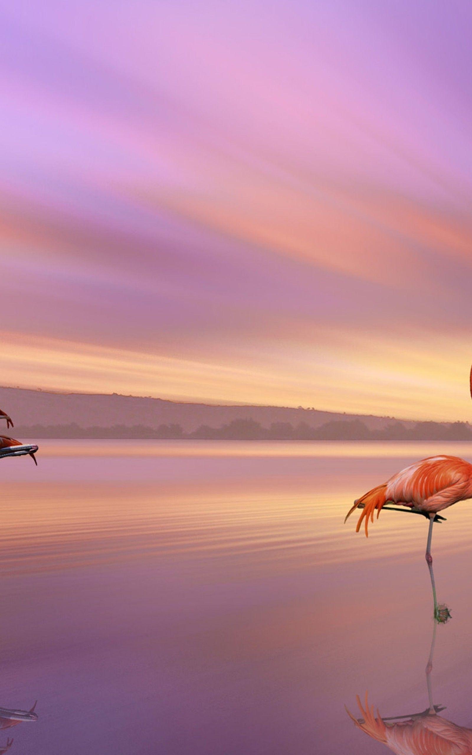 1600x2560 Download 1600x2560 Flamingo, Beach, Sunset, Clouds, Sky Wallpaper