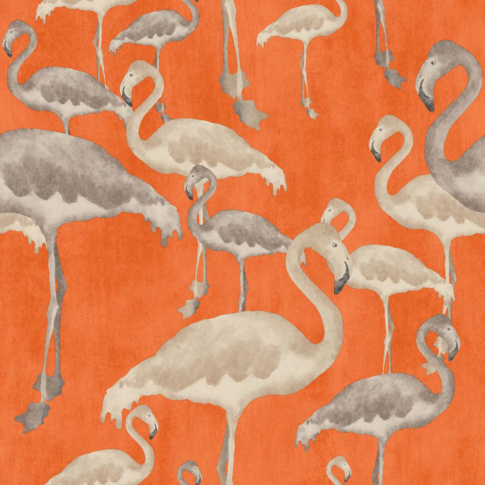 1000x1000 How To Use Nature Inspire Flamingo Wallpaper