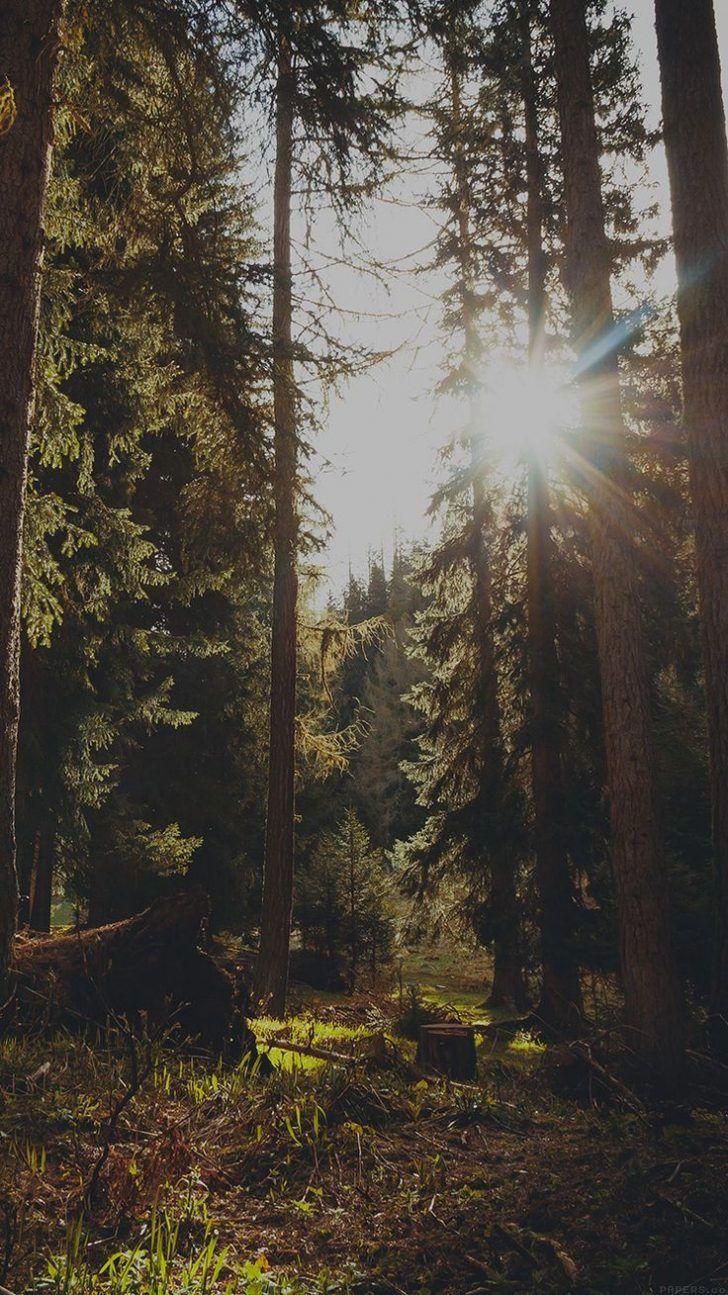 728x1295 Nature: Nature Phone Wallpaper. Nature Phone Wallpaper