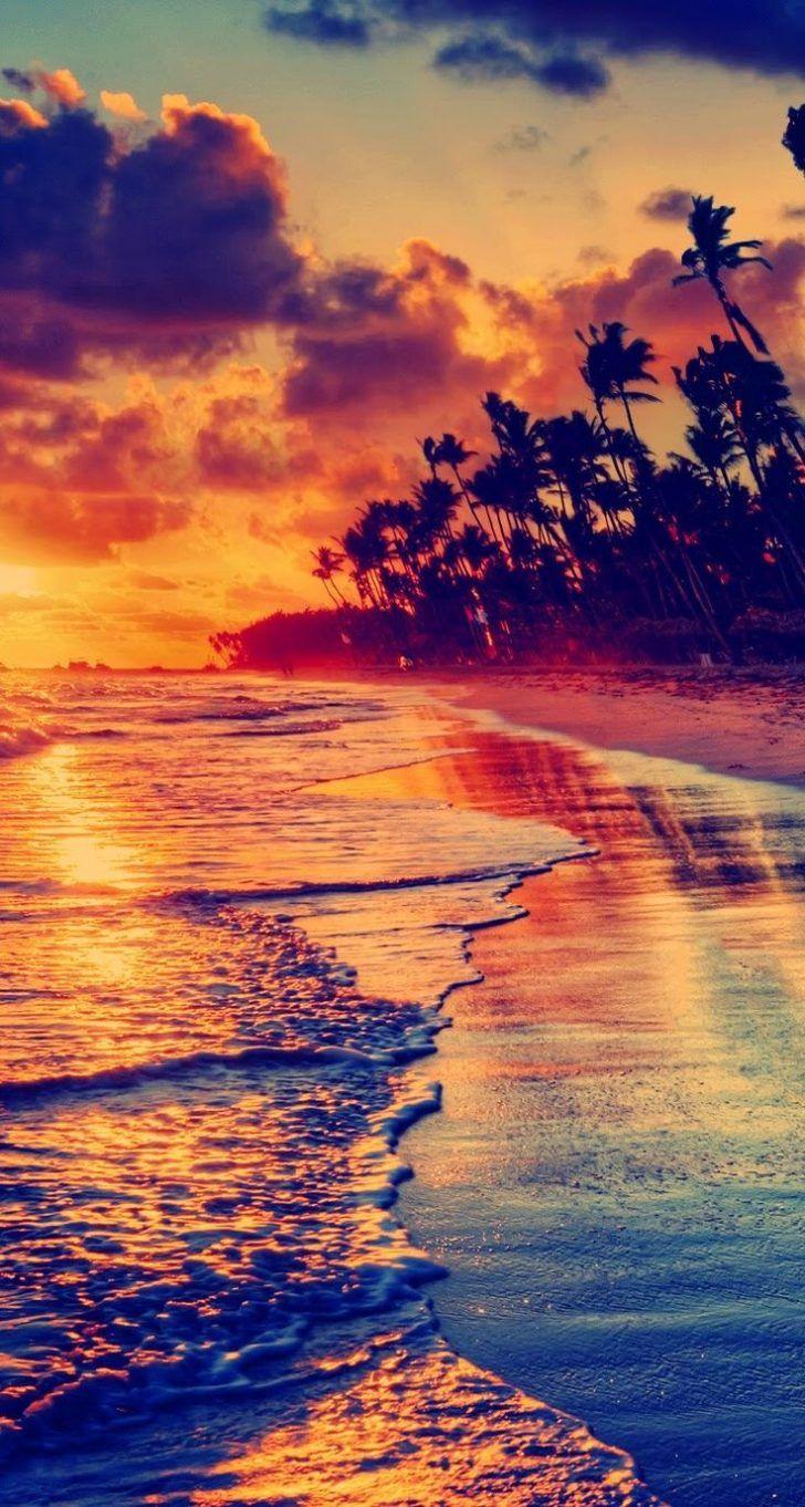728x1362 Nature: Nature Phone Wallpaper