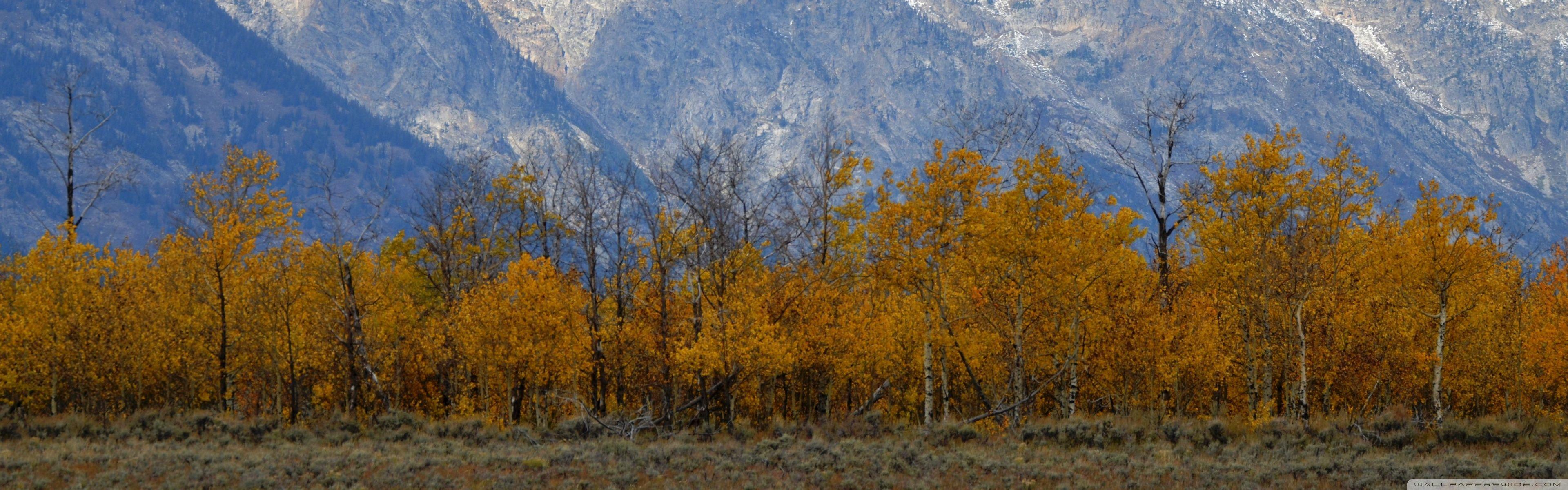 Jackson Hole Wallpapers Top Free Jackson Hole Backgrounds