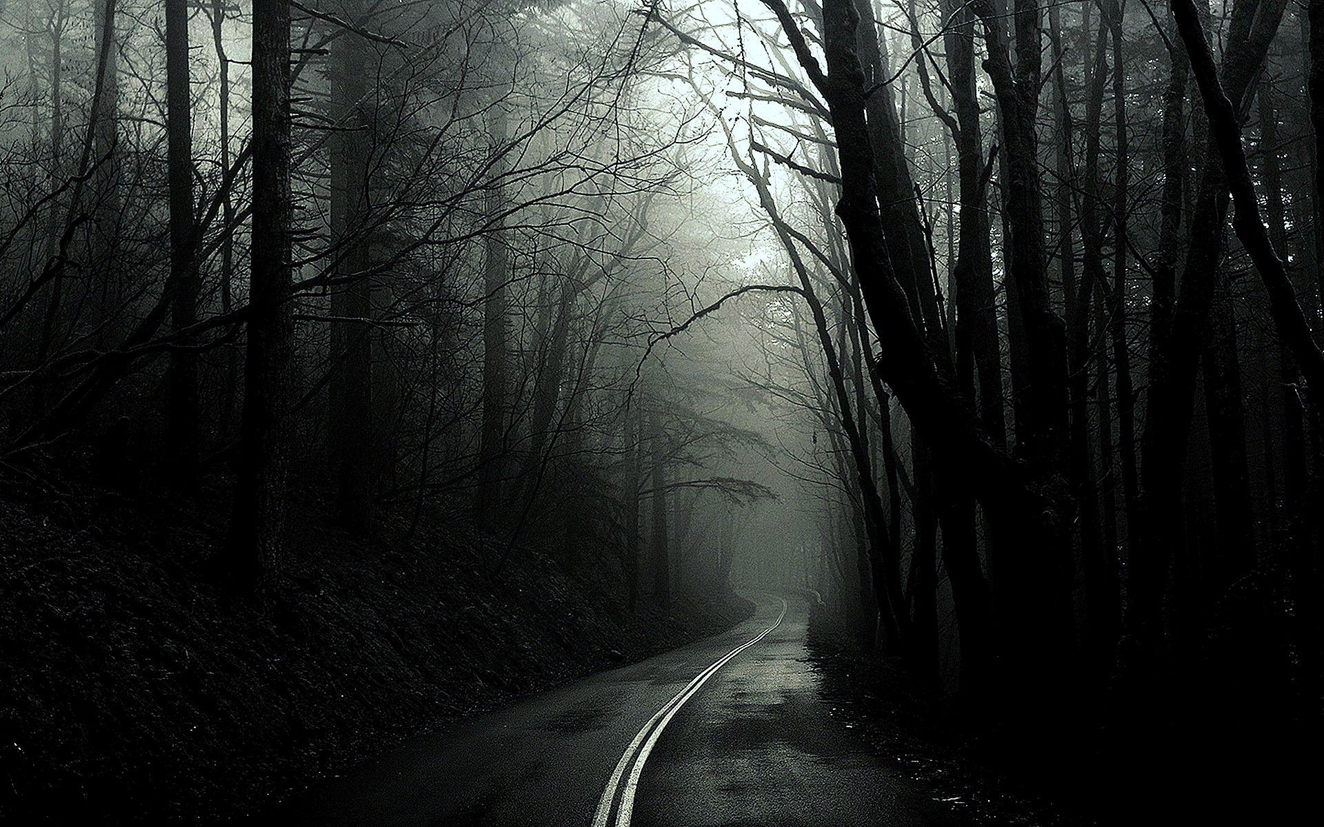 1920x1200 Black and white trees dark forest roads monochrome wallpaperx1200