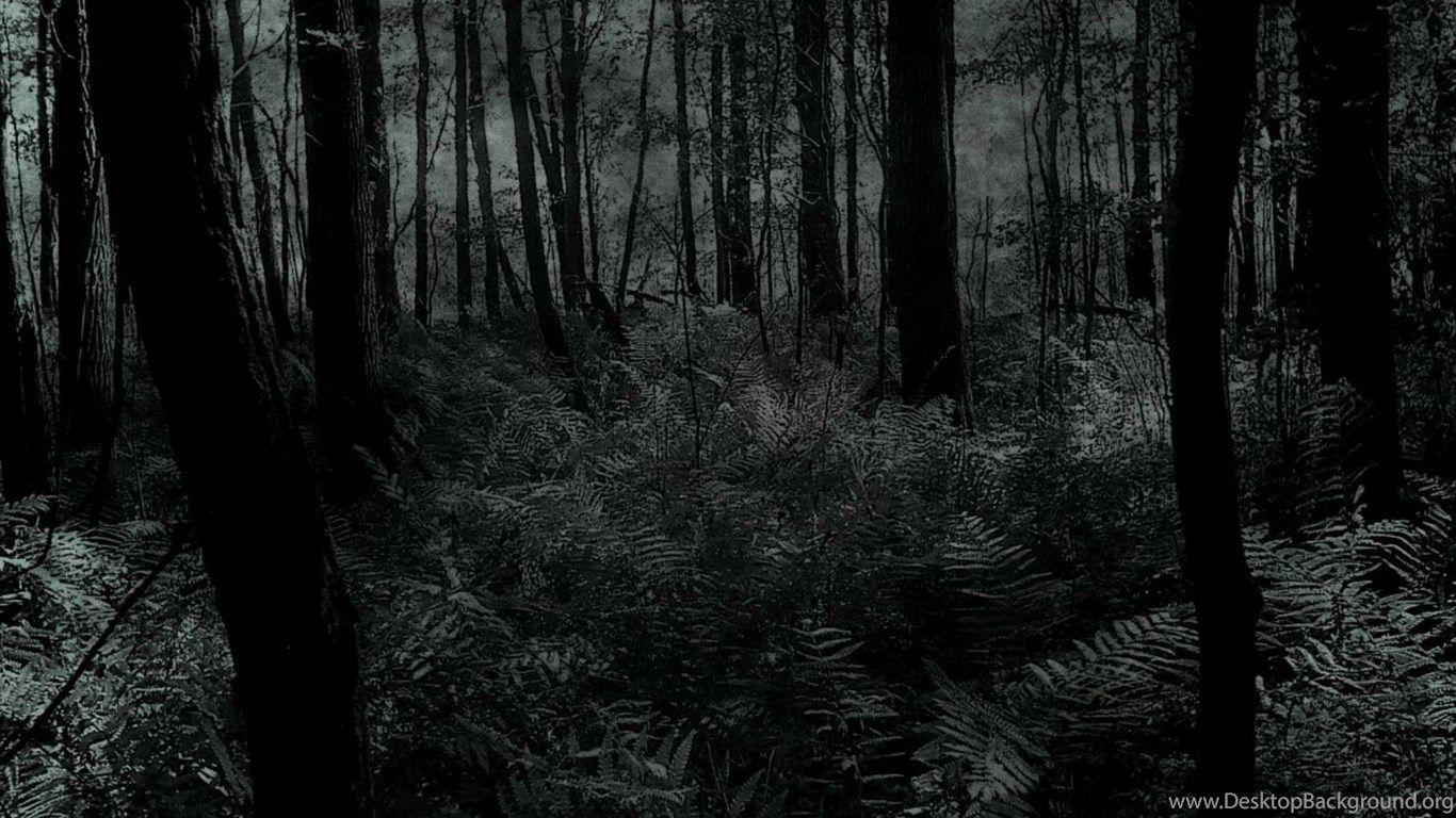 1366x768 Dark Forest Wallpaper HD Wallpaper Desktop Background