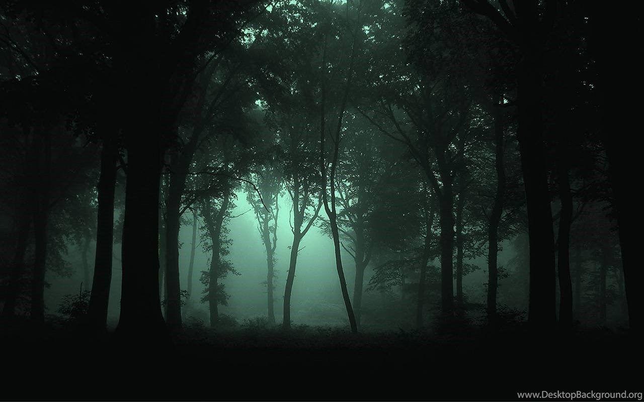 1280x800 Trees Dark Forest Wallpaper Desktop Background