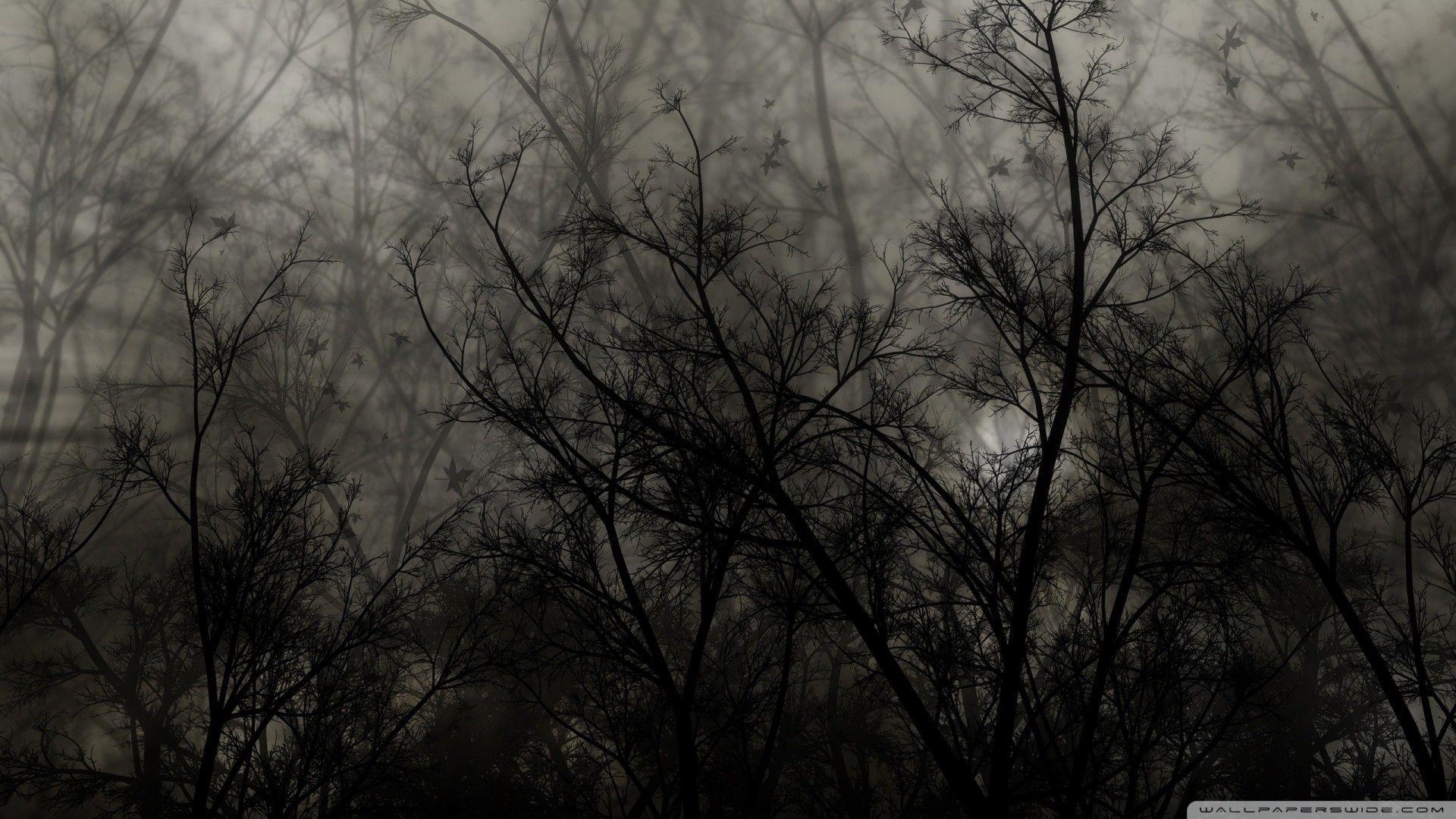 1920x1080 Dark Forest Wallpaper