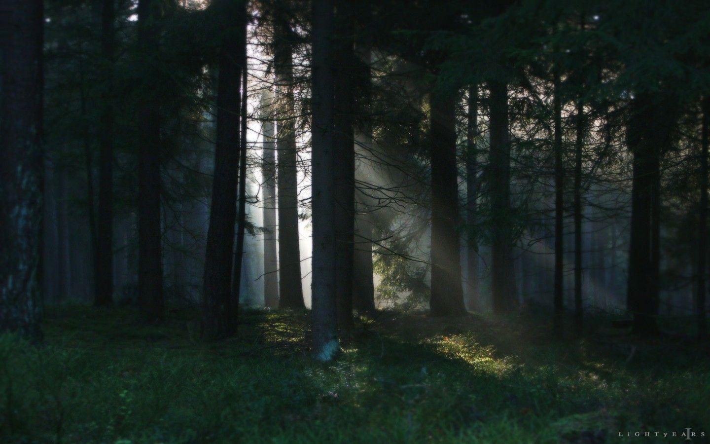 1440x900 Disney Dark Forest Background. Beautiful Forest Wallpaper, Amazing Forest Wallpaper and Fall Forest Wallpaper