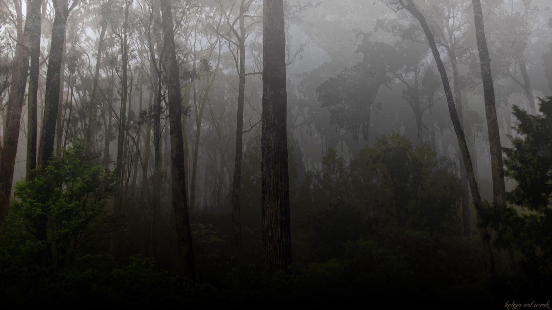1920x1080 HD Dark Forest Wallpaper Archives (43)