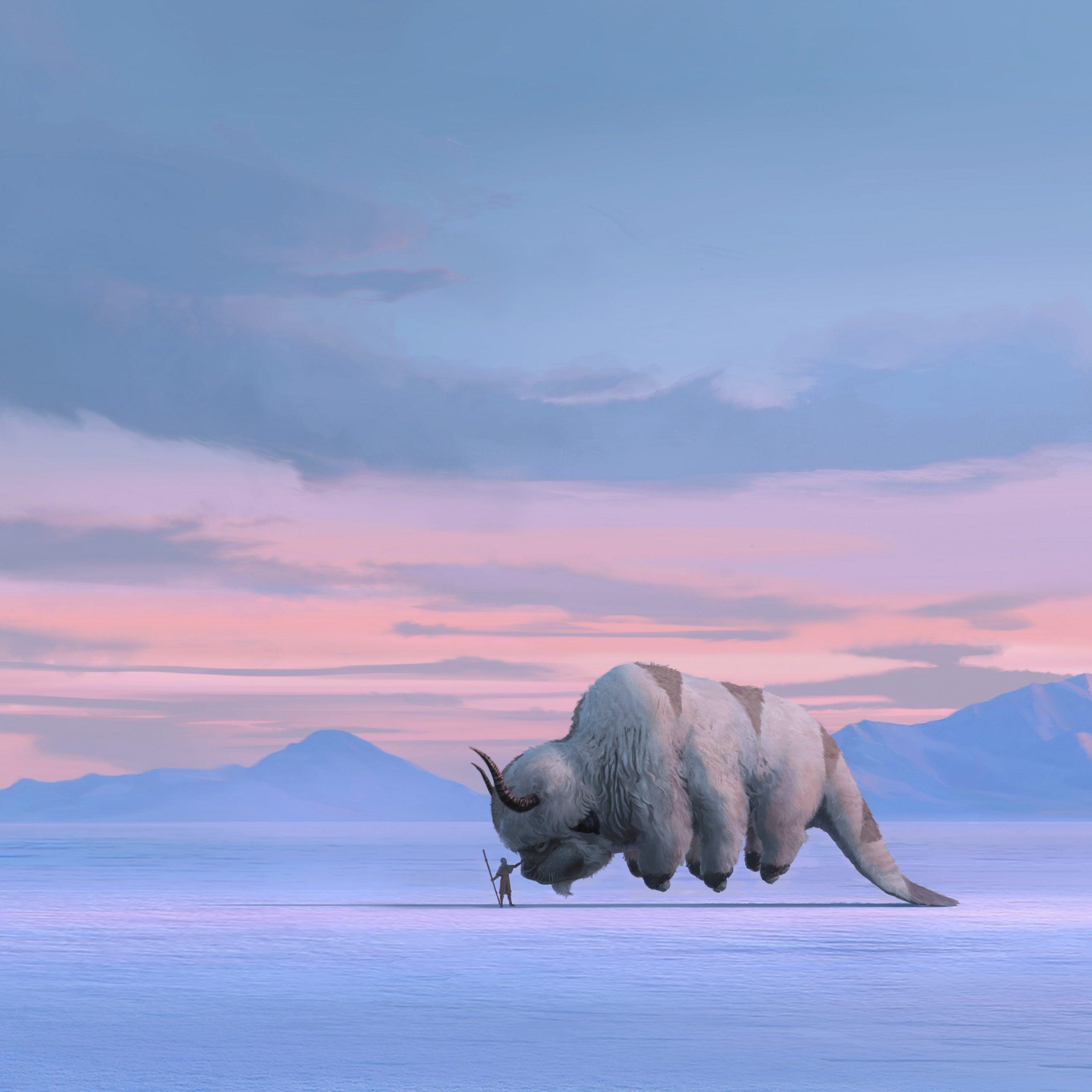 2560x2560 Avatar The Last Airbender, HD Tv Shows, 4k Wallpaper