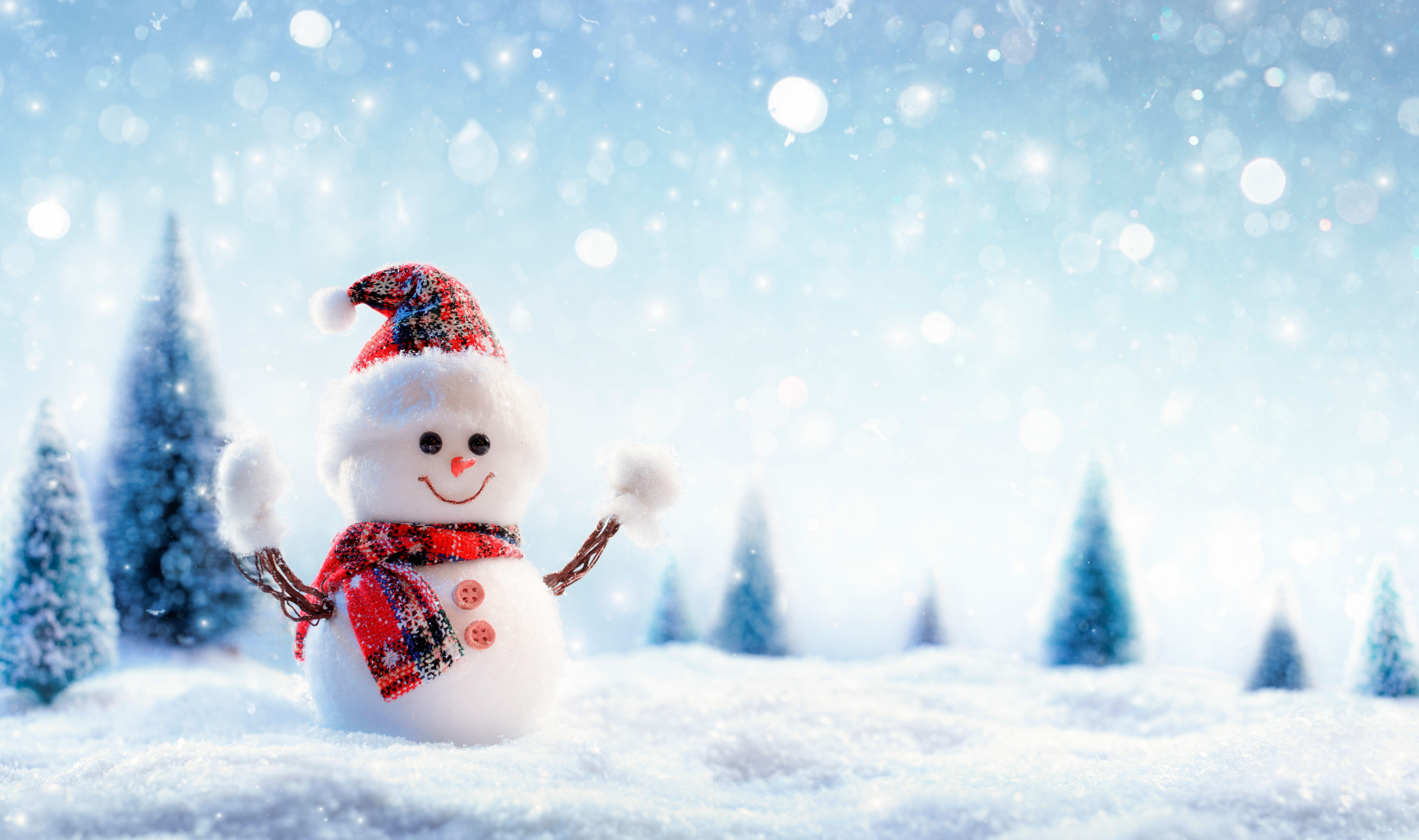 HD Snowman Wallpapers - Top Free HD Snowman Backgrounds - WallpaperAccess