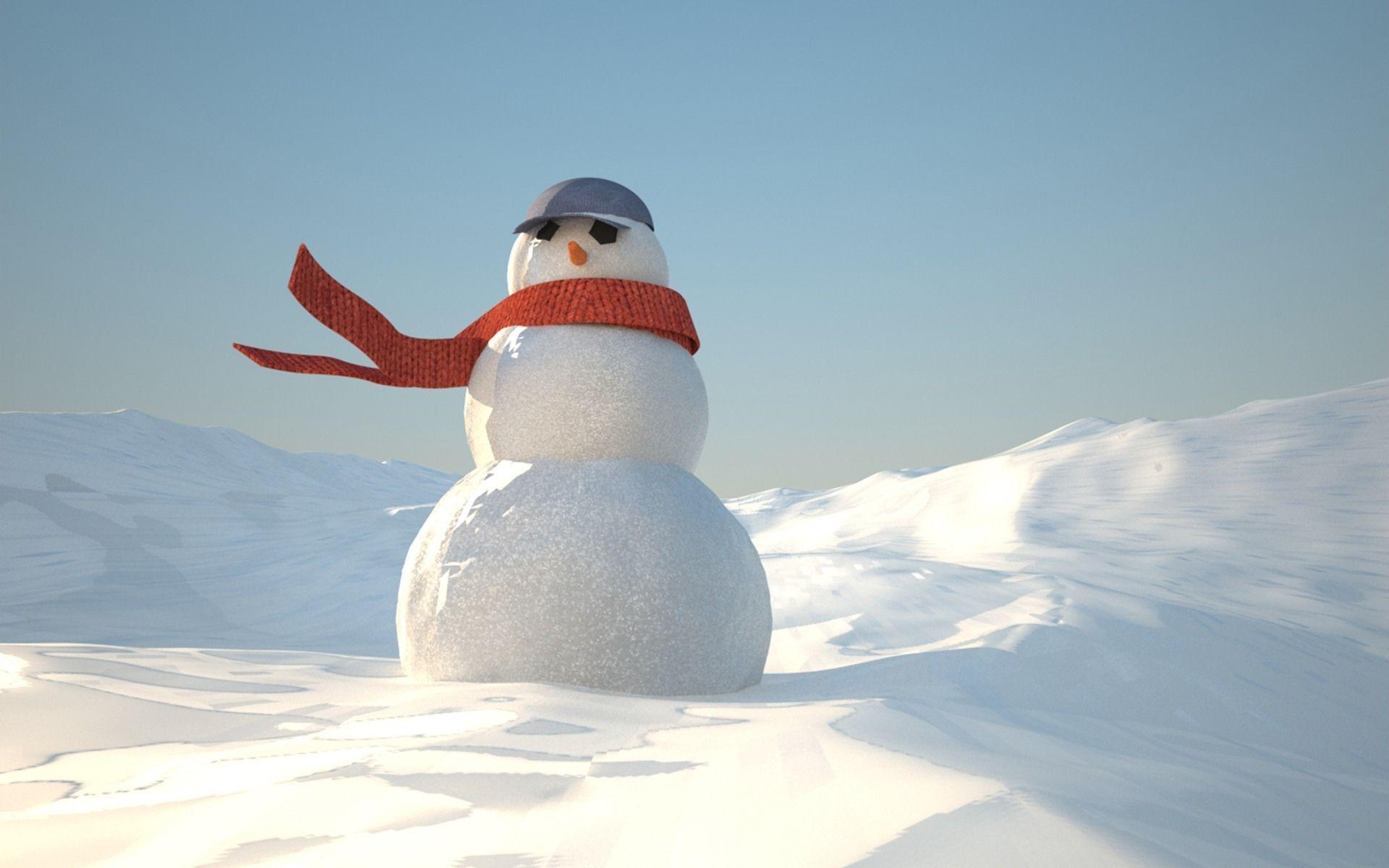 1920x1200 real snowman wallpaper HD