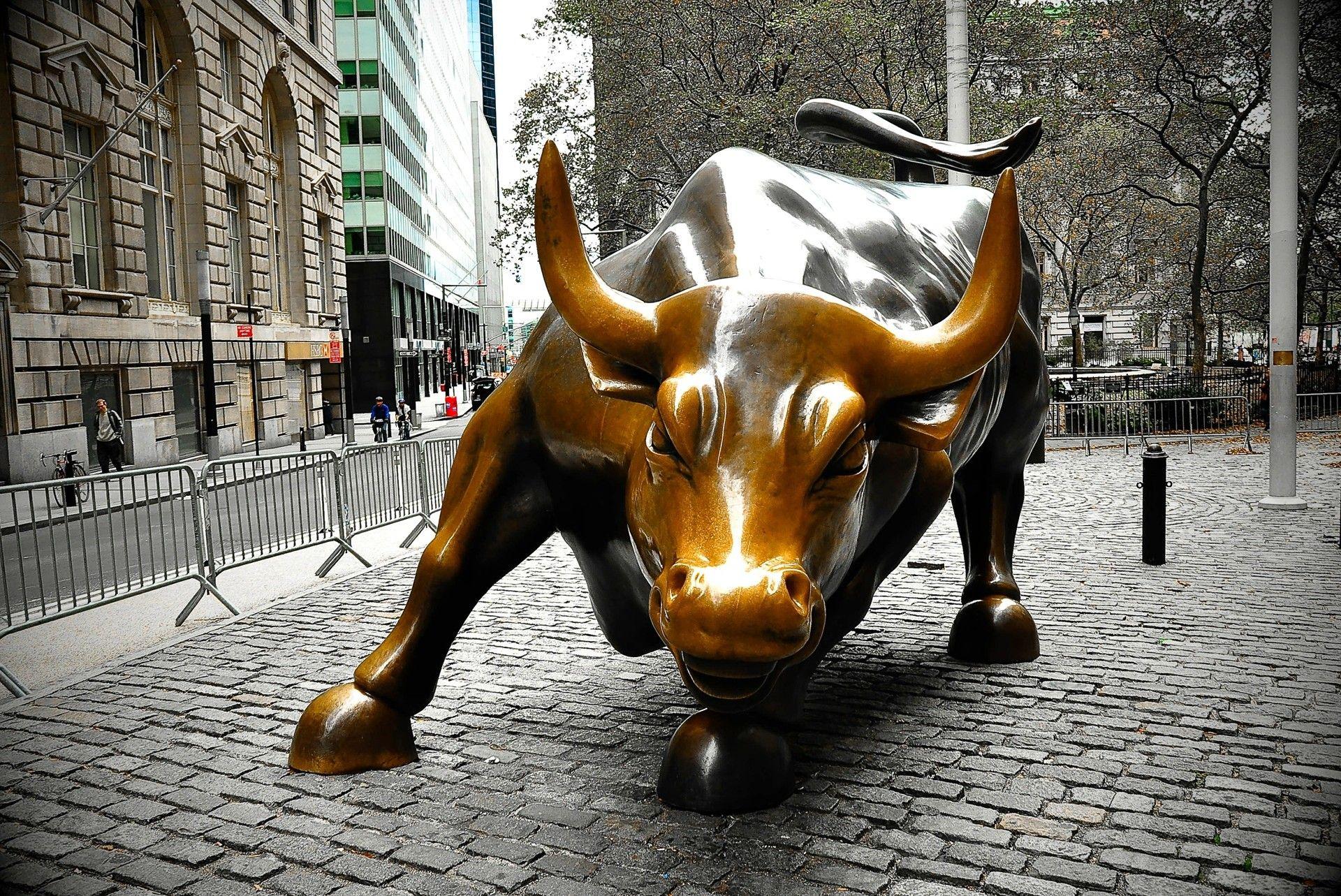 Stock Market Bull Images - Free Download on Freepik