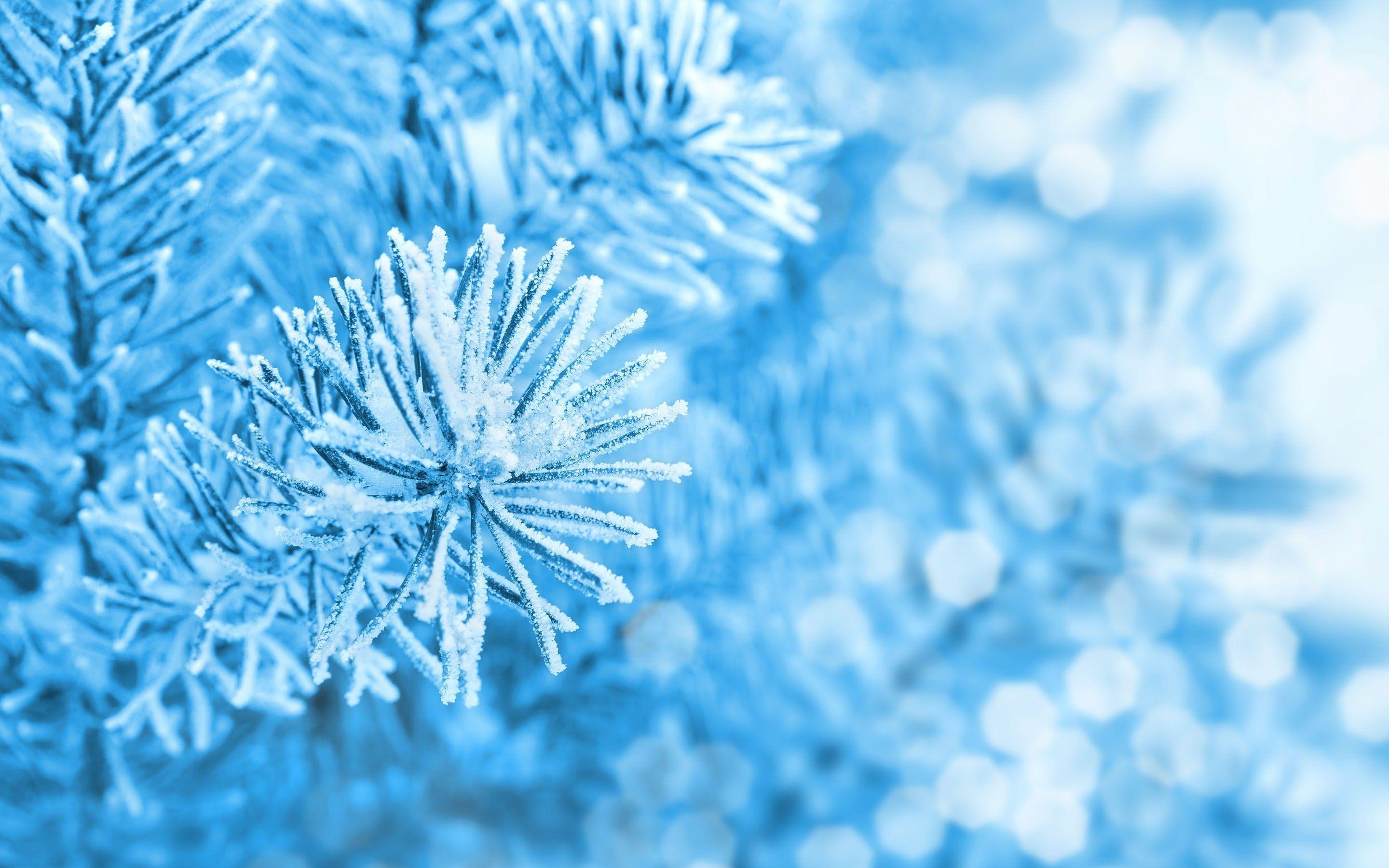 2880x1800 Free Download Ice Background