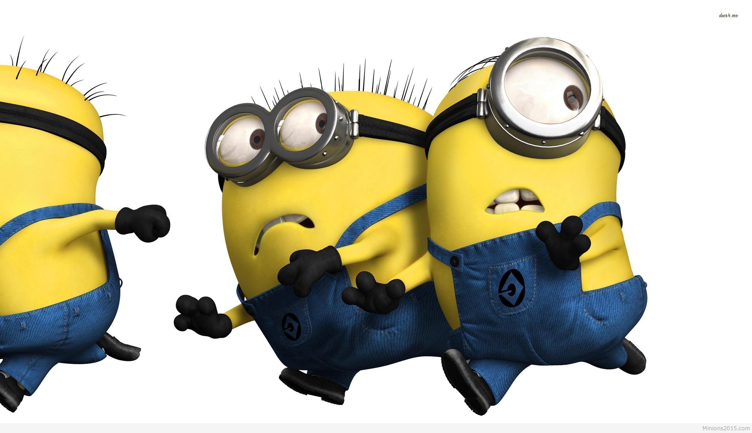 Minions From Despicable Me Wallpapers Top Free Minions From