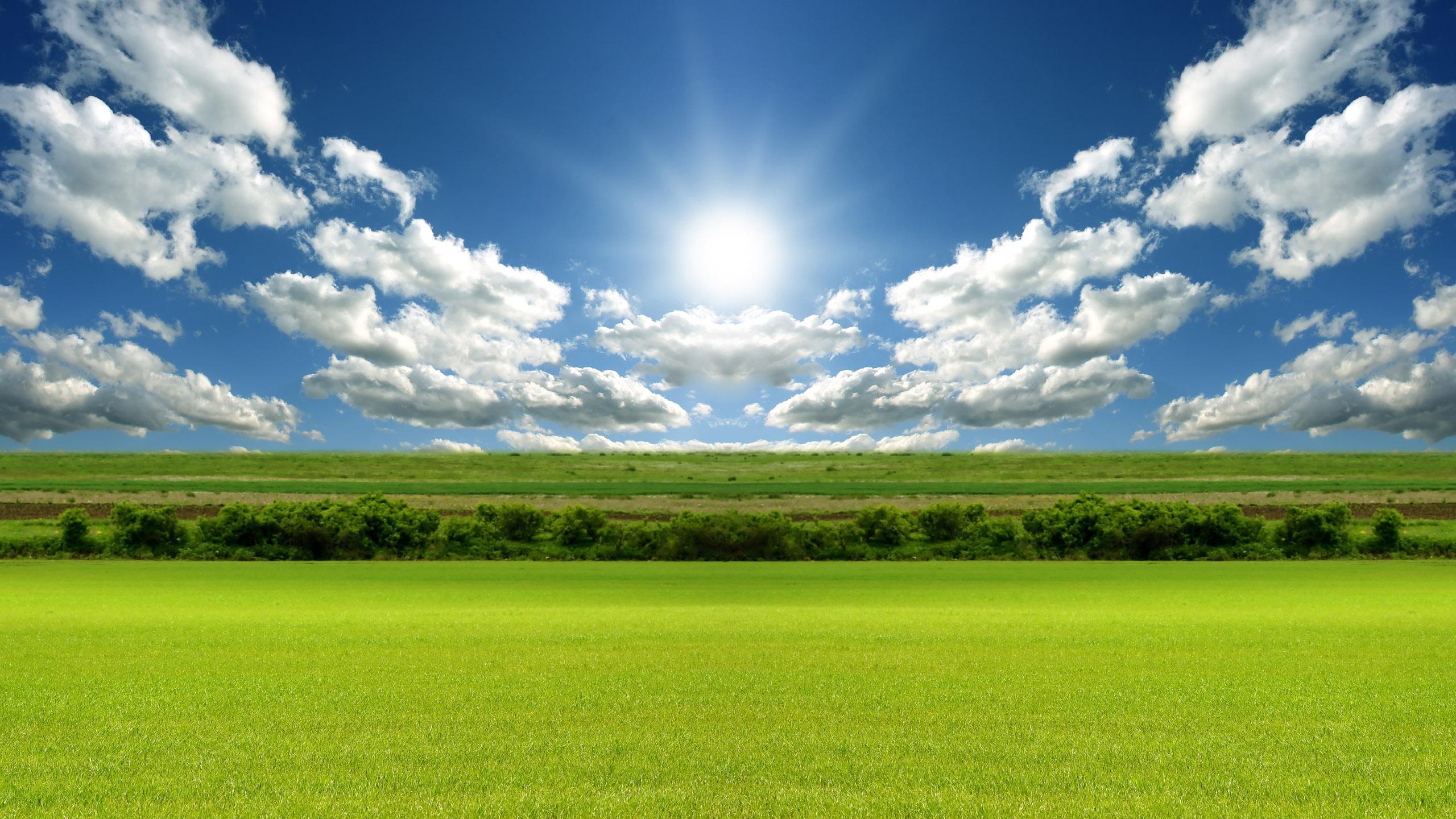 Sunny Day Wallpapers Top Free Sunny Day Backgrounds Wallpaperaccess 