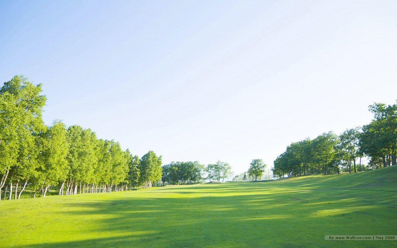 1280x800 grassland lush trees in sunny day 1280x800 NO.38 Desktop Wallpaper