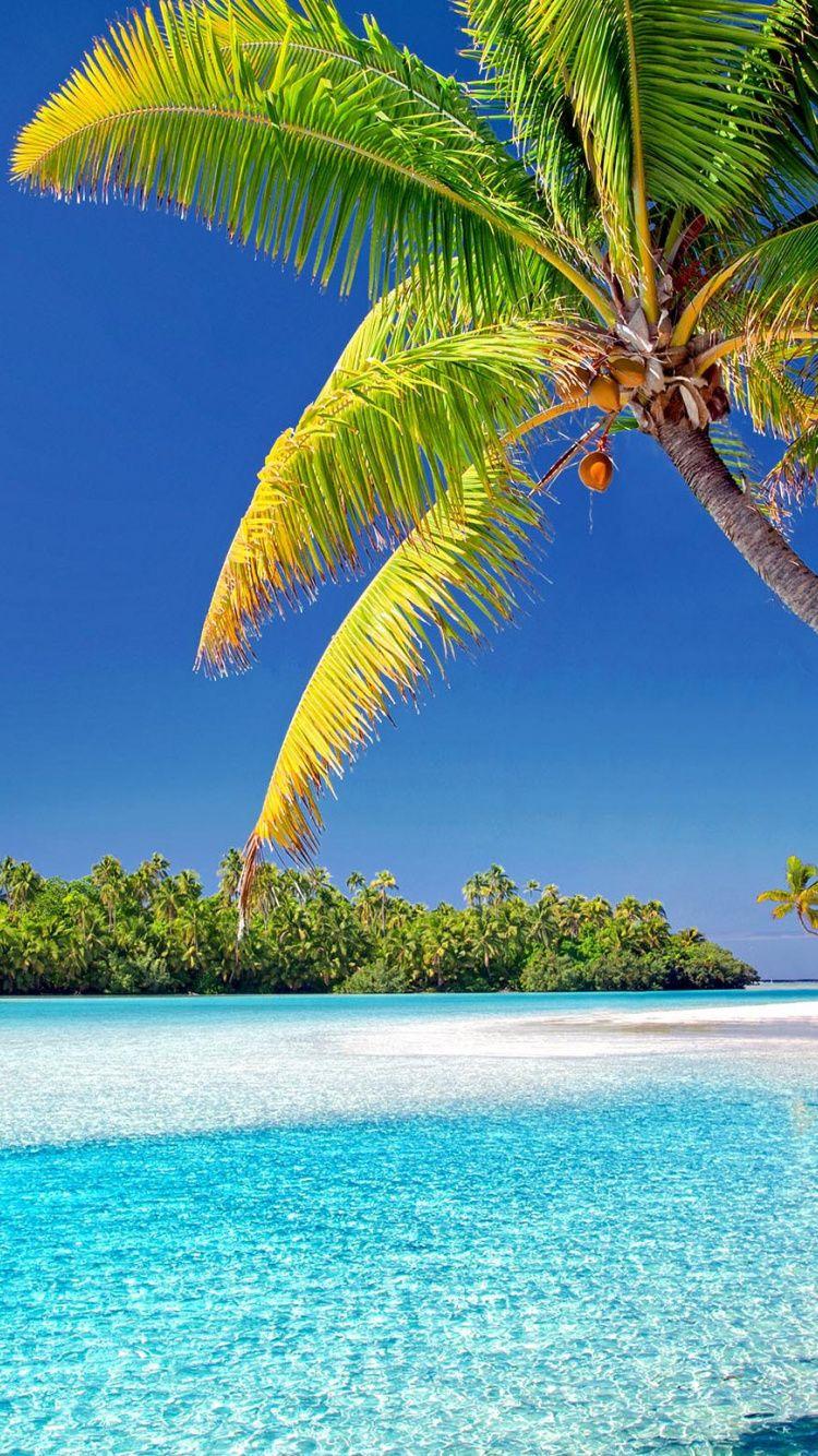 750x1334 Download Cook islands, beach, sunny day wallpaper, 750x1334