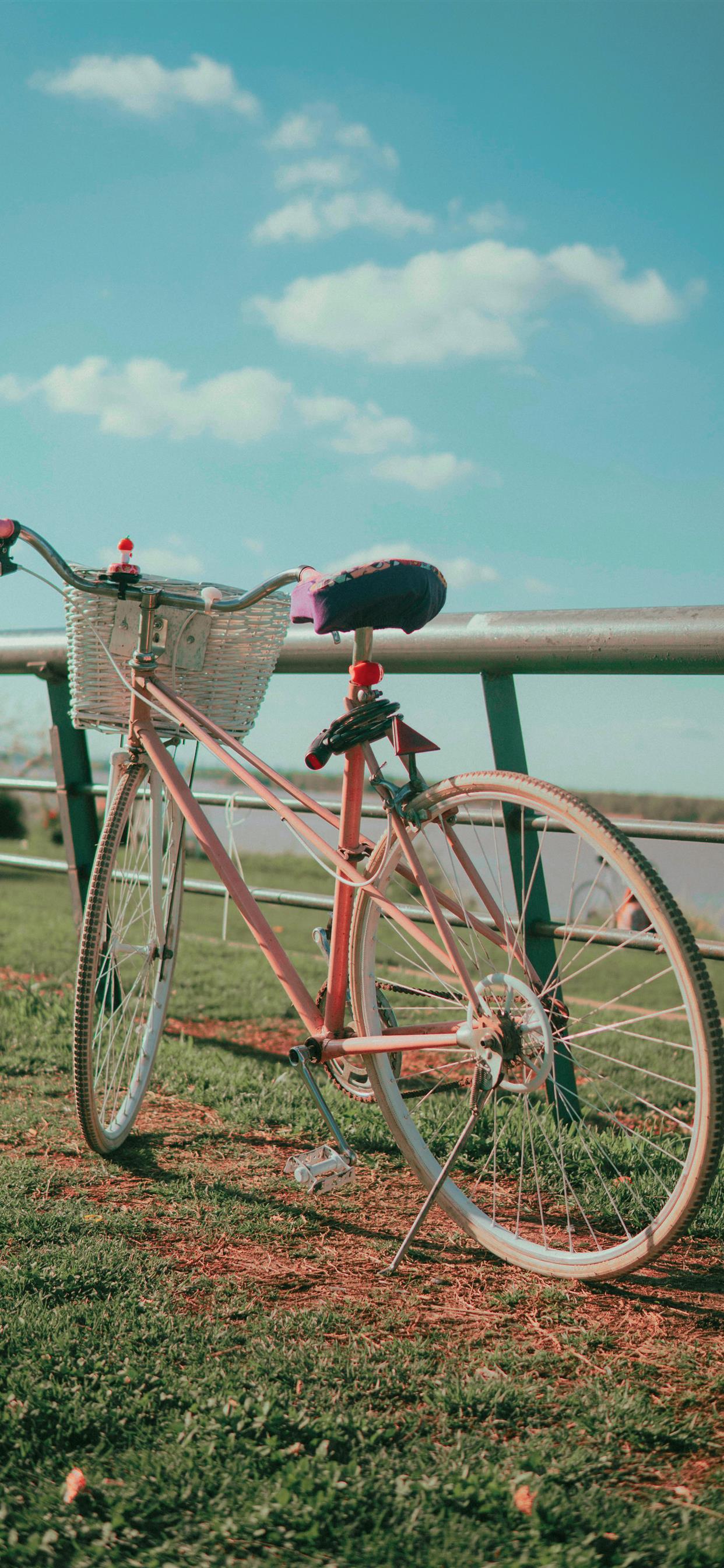 1242x2688 Pastel pink bike by the coast walk iPhone Wallpaper Free Download