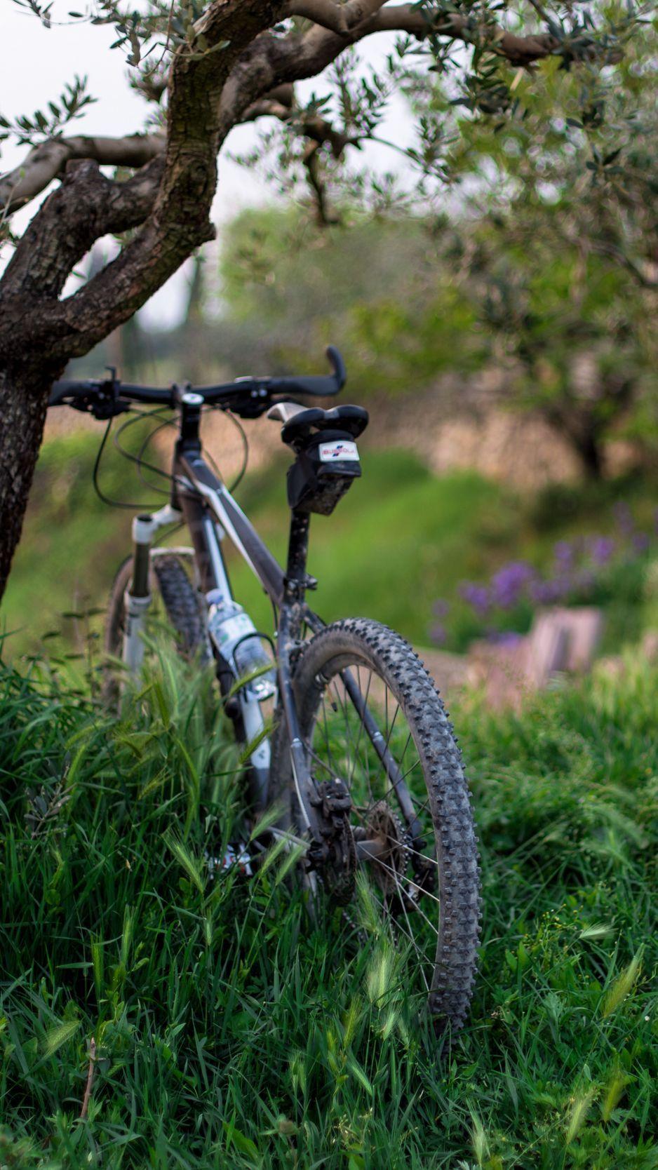 938x1668 Download Wallpaper 938x1668 Bicycle, Grass, Trees Iphone 8 7 6s 6