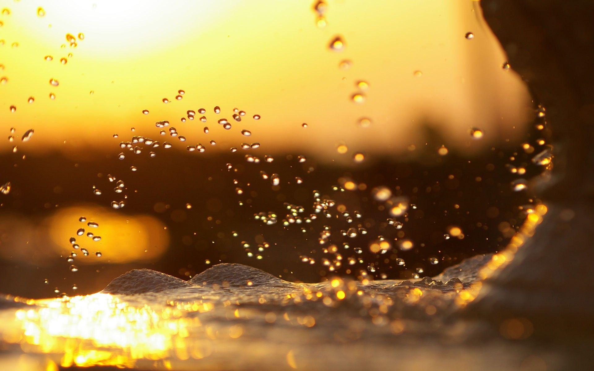 1920x1200 Cute Sunlight wallpaperx1200