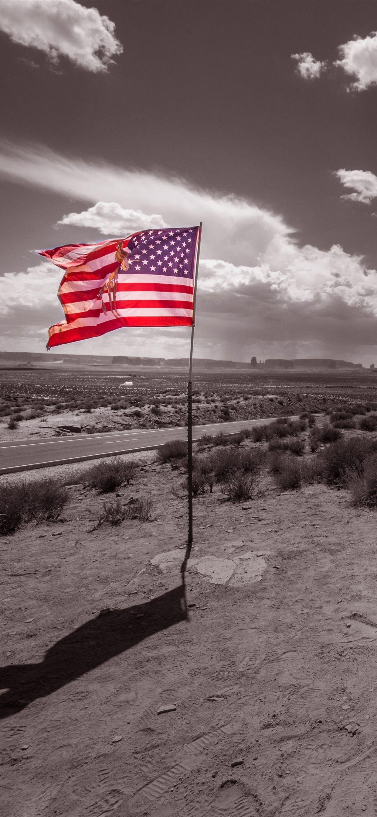 1242x2688 Usa iPhone Wallpaper