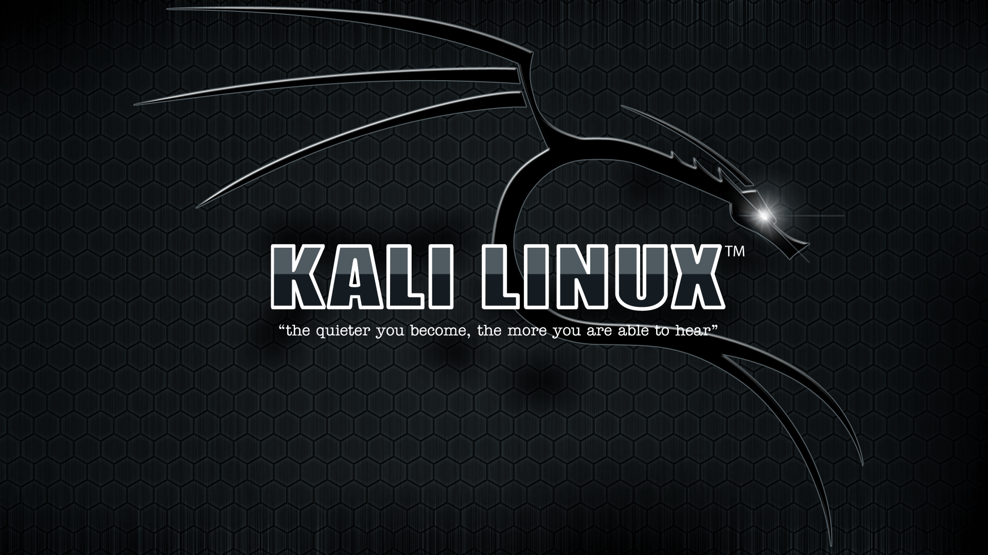 1920x1080 Kali Linux Wallpaper