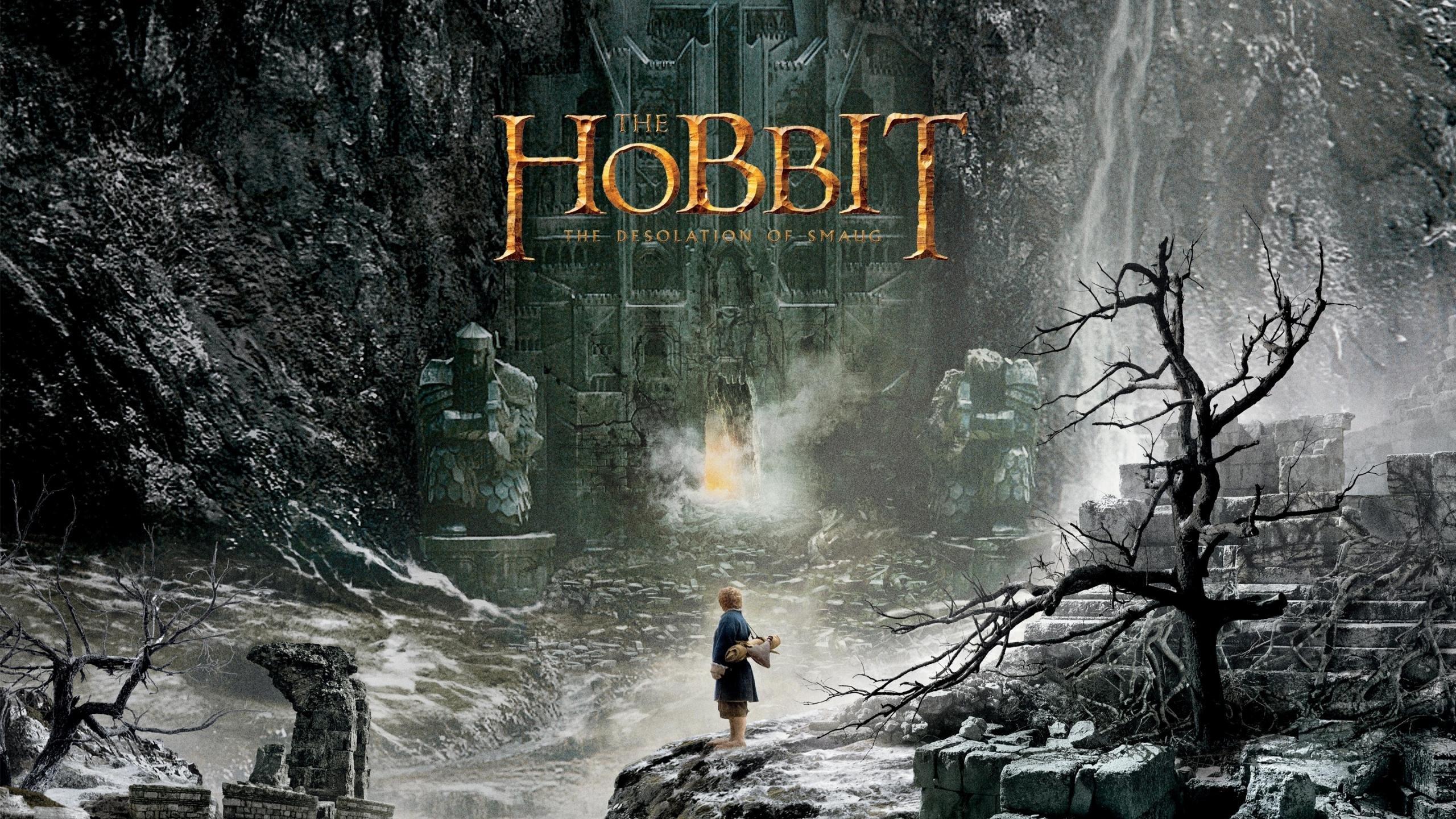 2560x1440 The Hobbit: The Desolation Of Smaug wallpaper 2560x1440 desktop