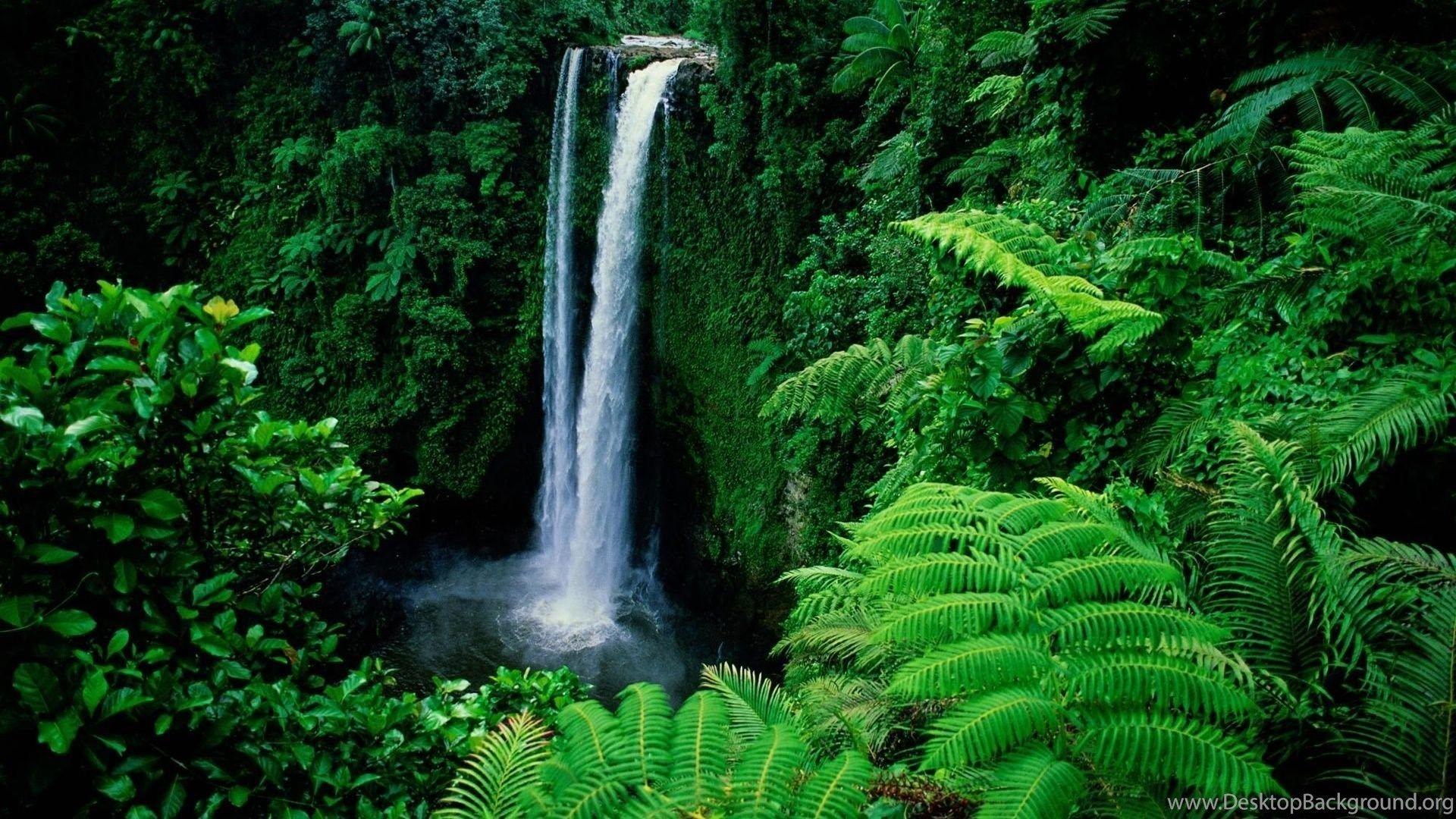 1920x1080 Tropical Waterfall HD Wallpaper High Resolution Desktop Background