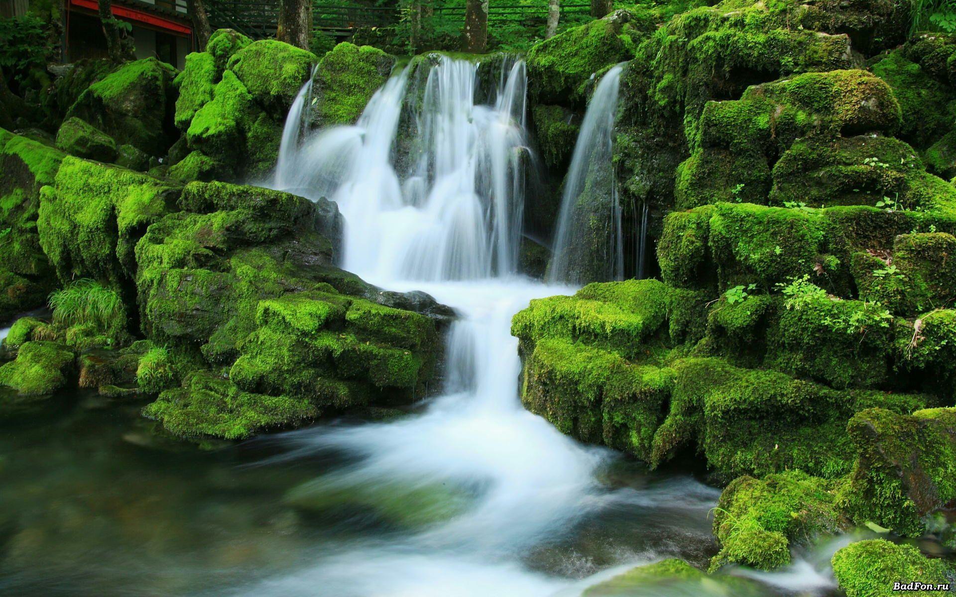 1920x1200 Tropical Waterfalls Wallpaper