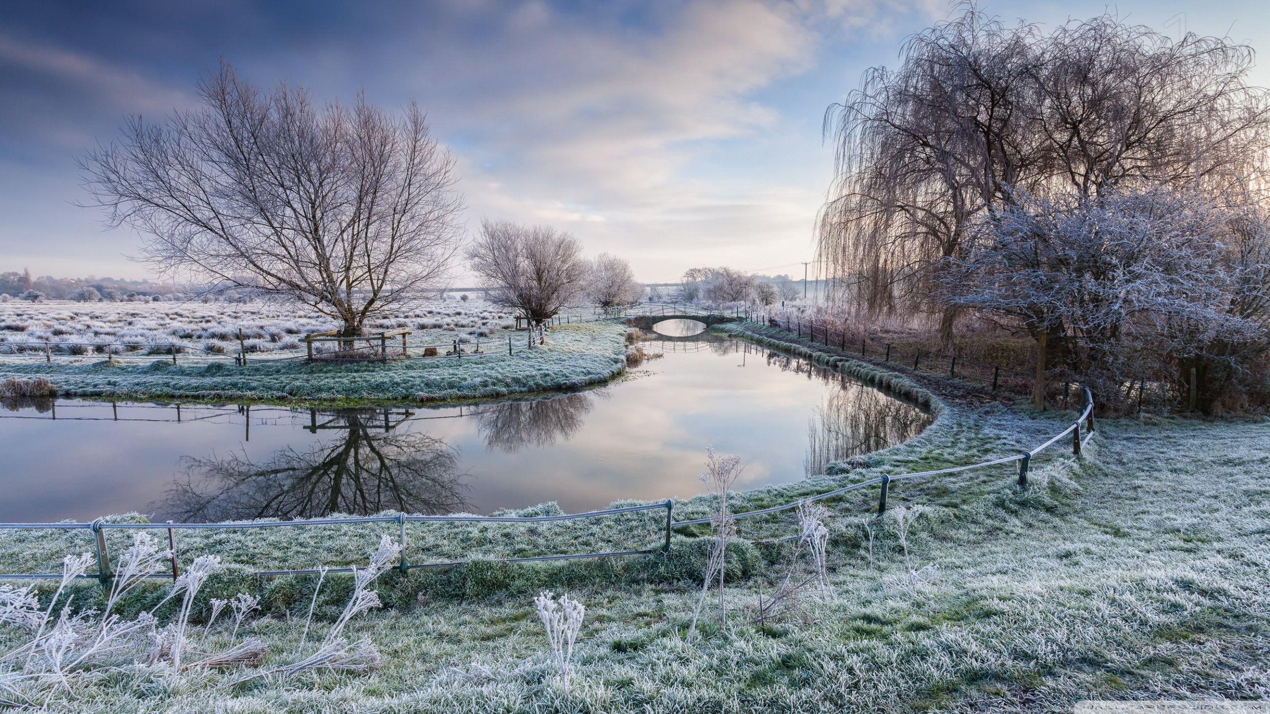 2560x1440 Frozen Landscape ❤ 4K HD Desktop Wallpaper for • Wide & Ultra