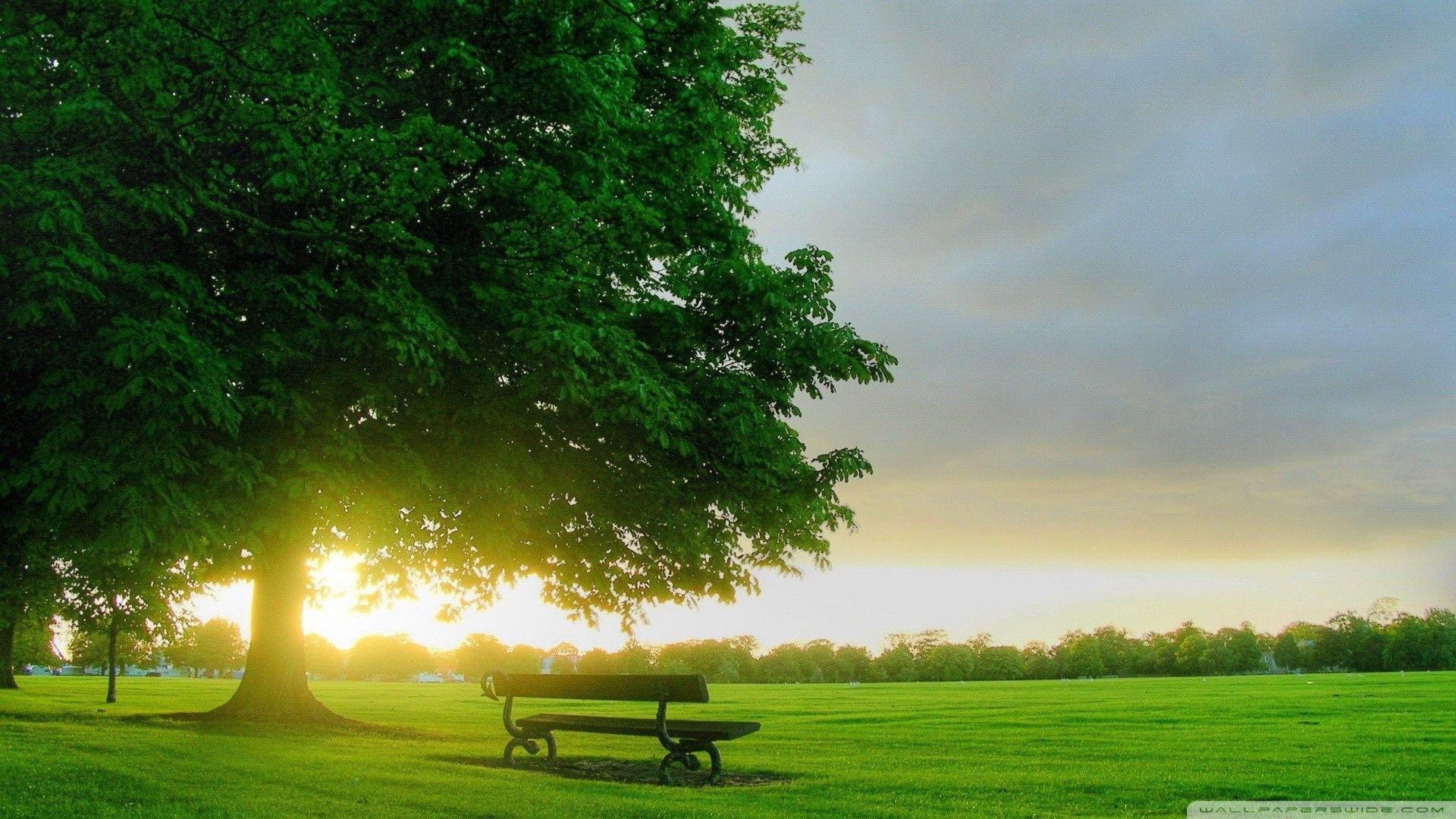 1920x1080 Virtual, Mother Nature, Grass, Bench, HD Nature Wallpaper Summer