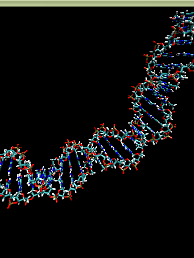 768x1024 Free download Displaying 17 Image For Molecular Biology