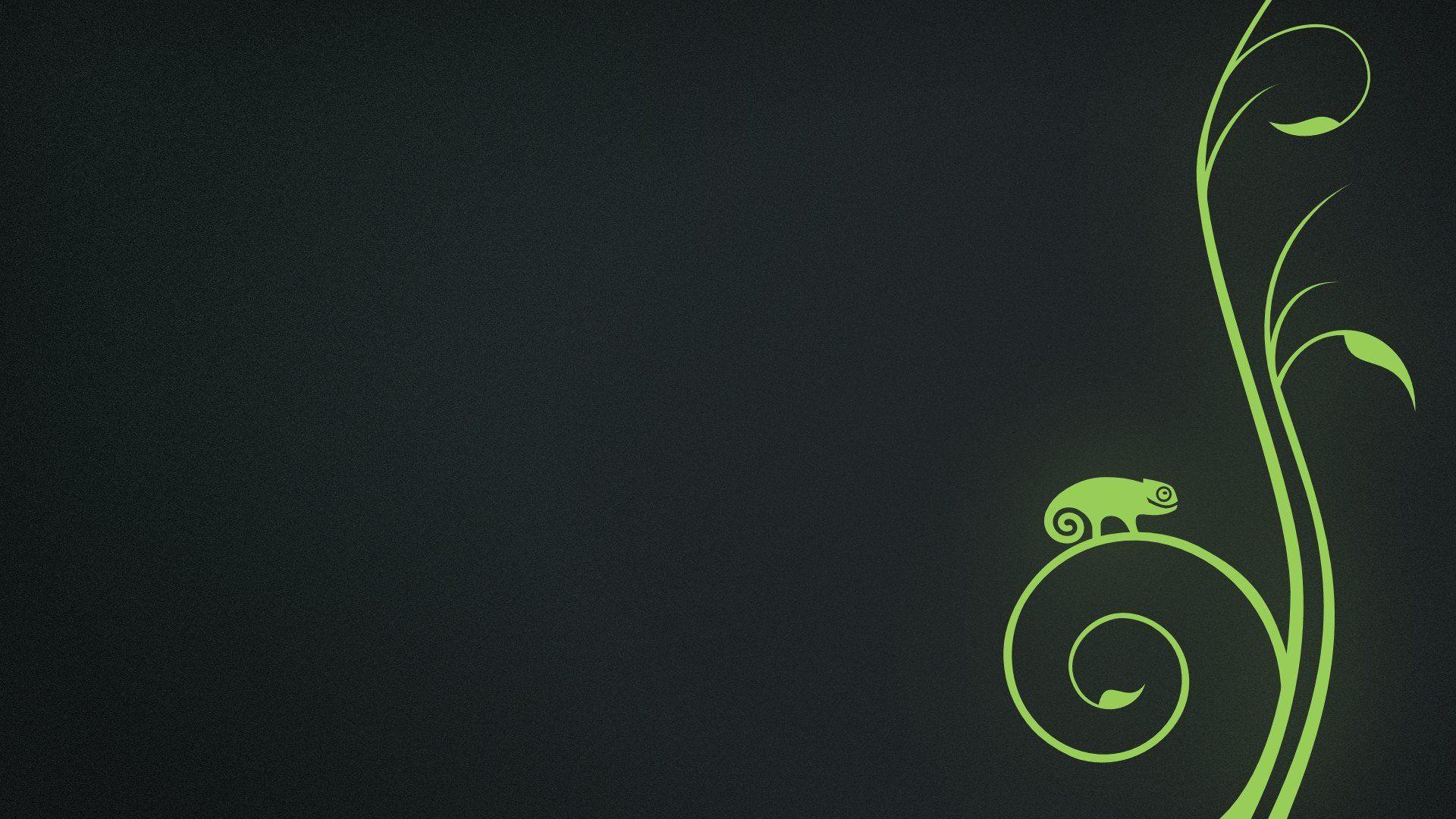 1920x1080 openSUSE, Linux HD Wallpaper / Desktop and Mobile Image & Photo