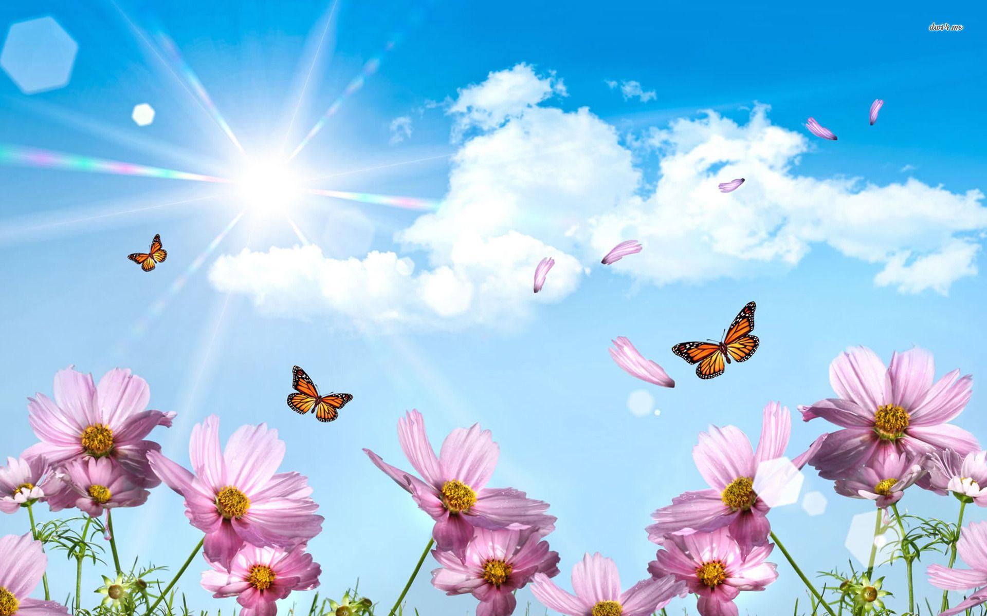 1920x1200 Spring Butterfly Wallpaper Desktop Outdoors Wallpaper 1080p