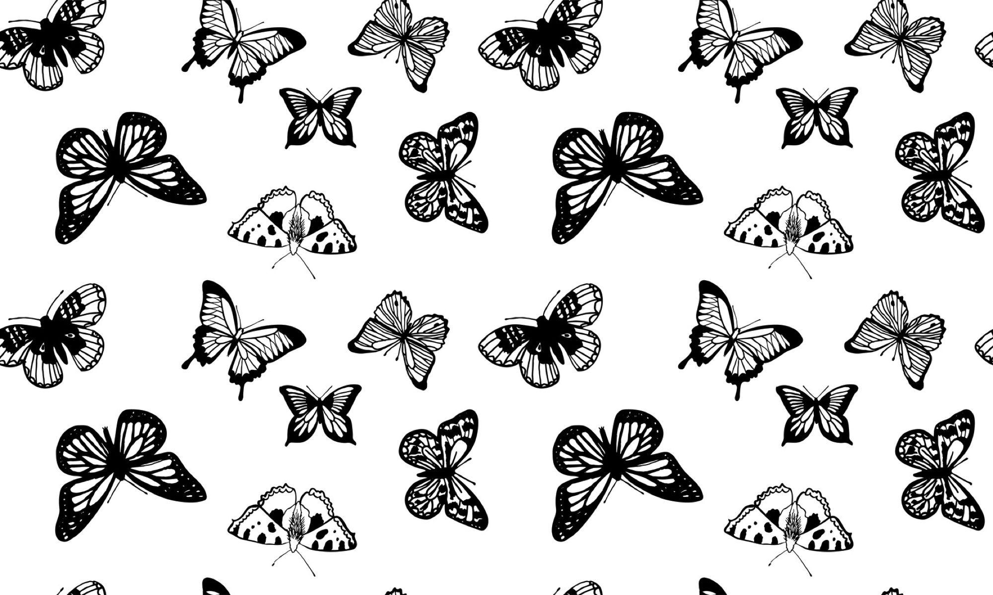 Hình nền con bướm đen và trắng 2000x1200