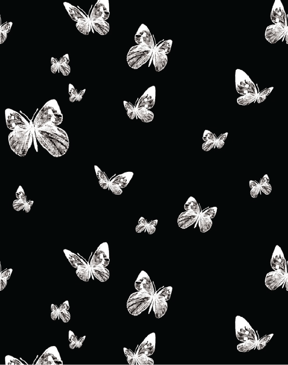 Black and White Butterfly Wallpapers Top Free Black and White
