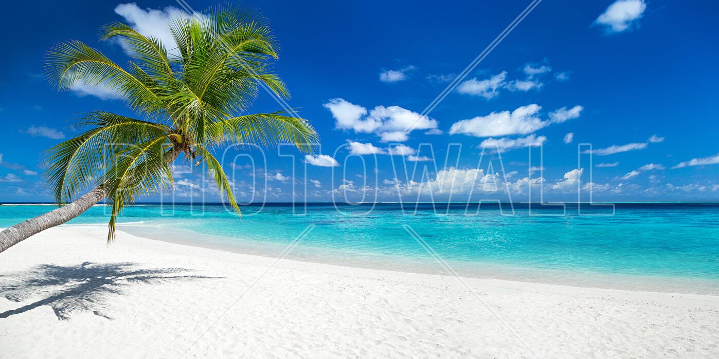 1398x699 Tropical Beach