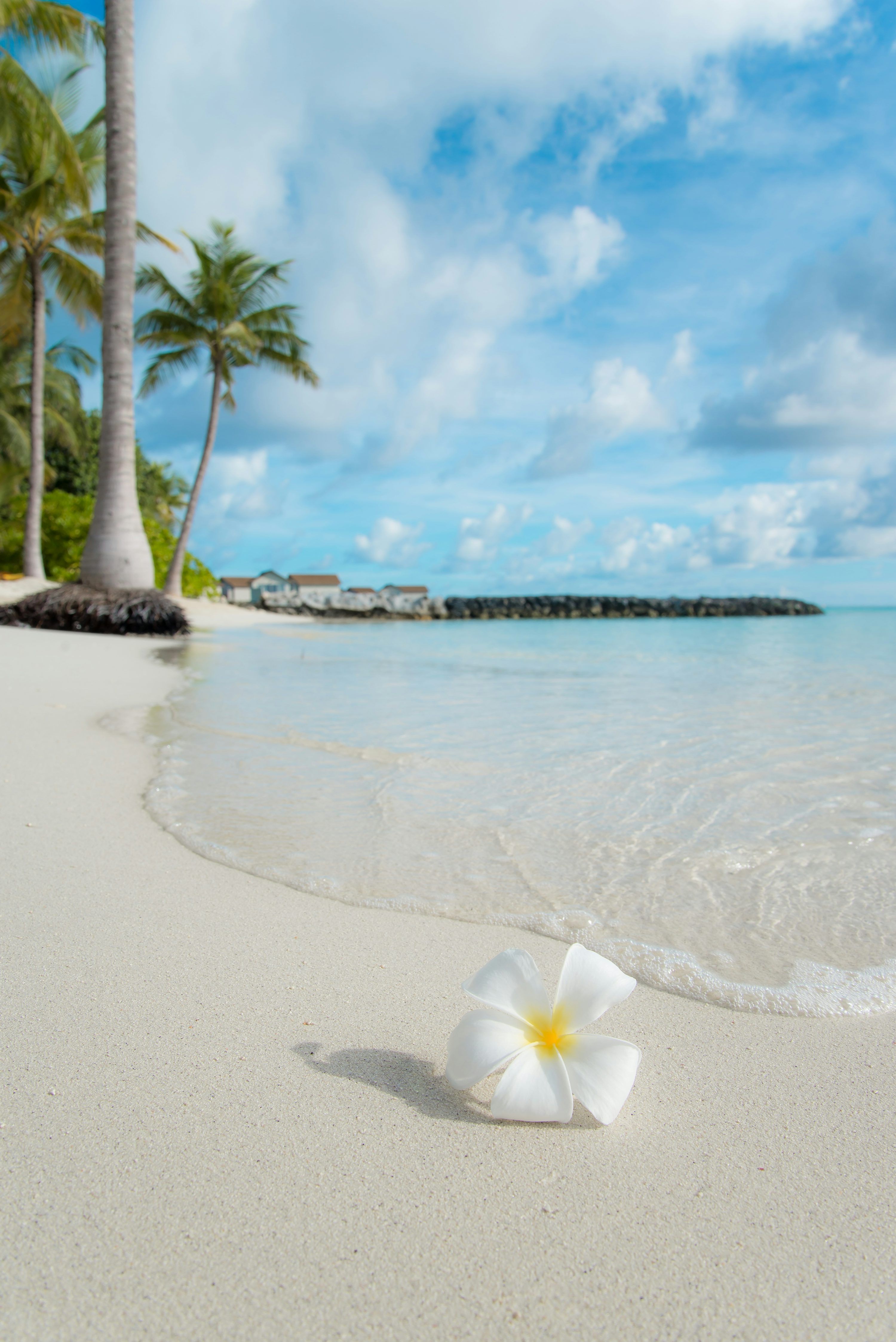 3000x4494 Tropical Beach Picture. Download Free Image
