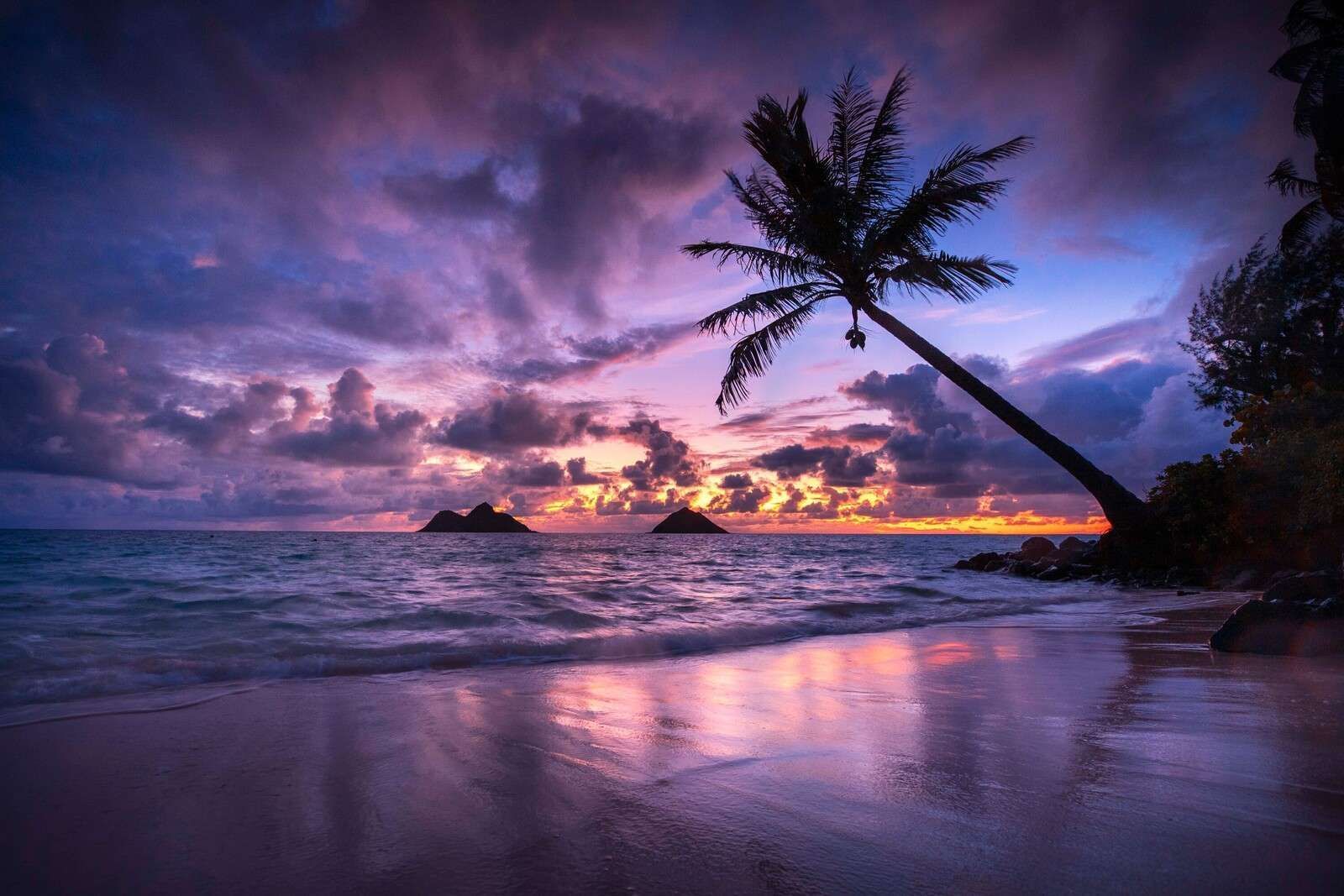 1600x1067 Wallpaper Mural Coast at Purple Sunset