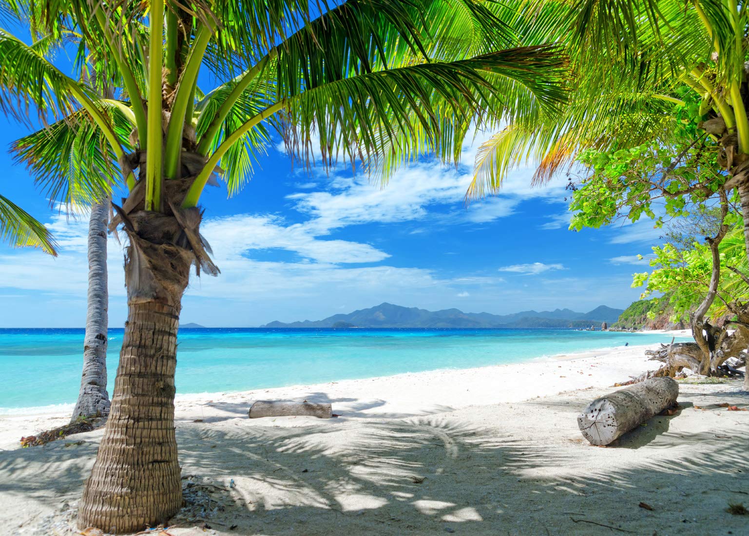 1537x1100 Amazon.com : LTLYH 7x5ft Tropical Summer Beach Photography Backdrops Hawaiian Luau Party Blue Sky Sea Background for Outdoor Photo Props 006