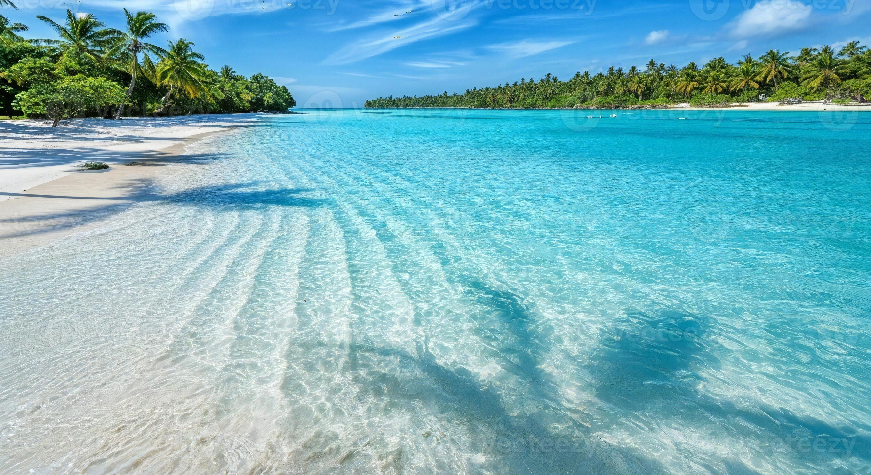 3593x1960 Nature background, Nature wallpaper, Idyllic tropical beach with crystal clear turquoise water and lush palm trees under a blue sky