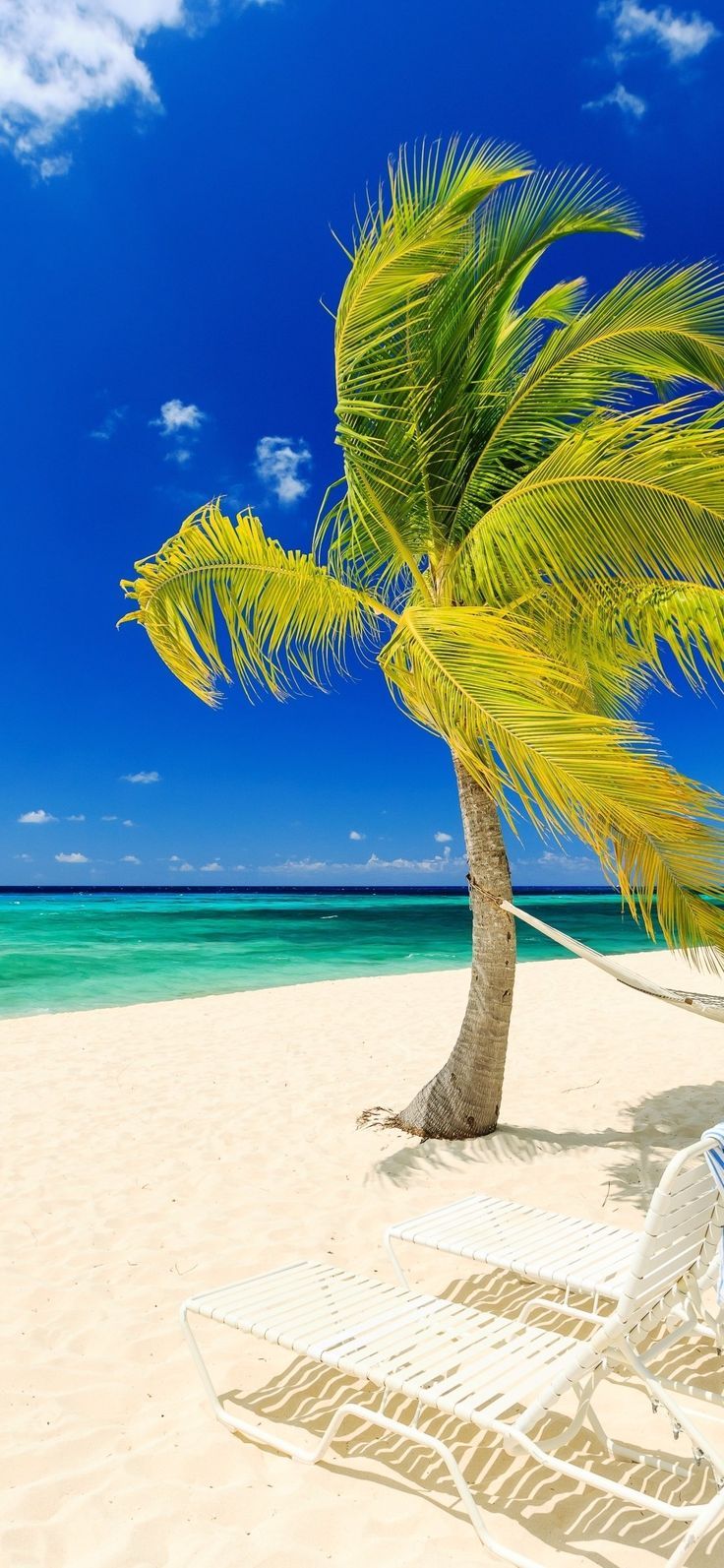 736x1593 Tropical Beach