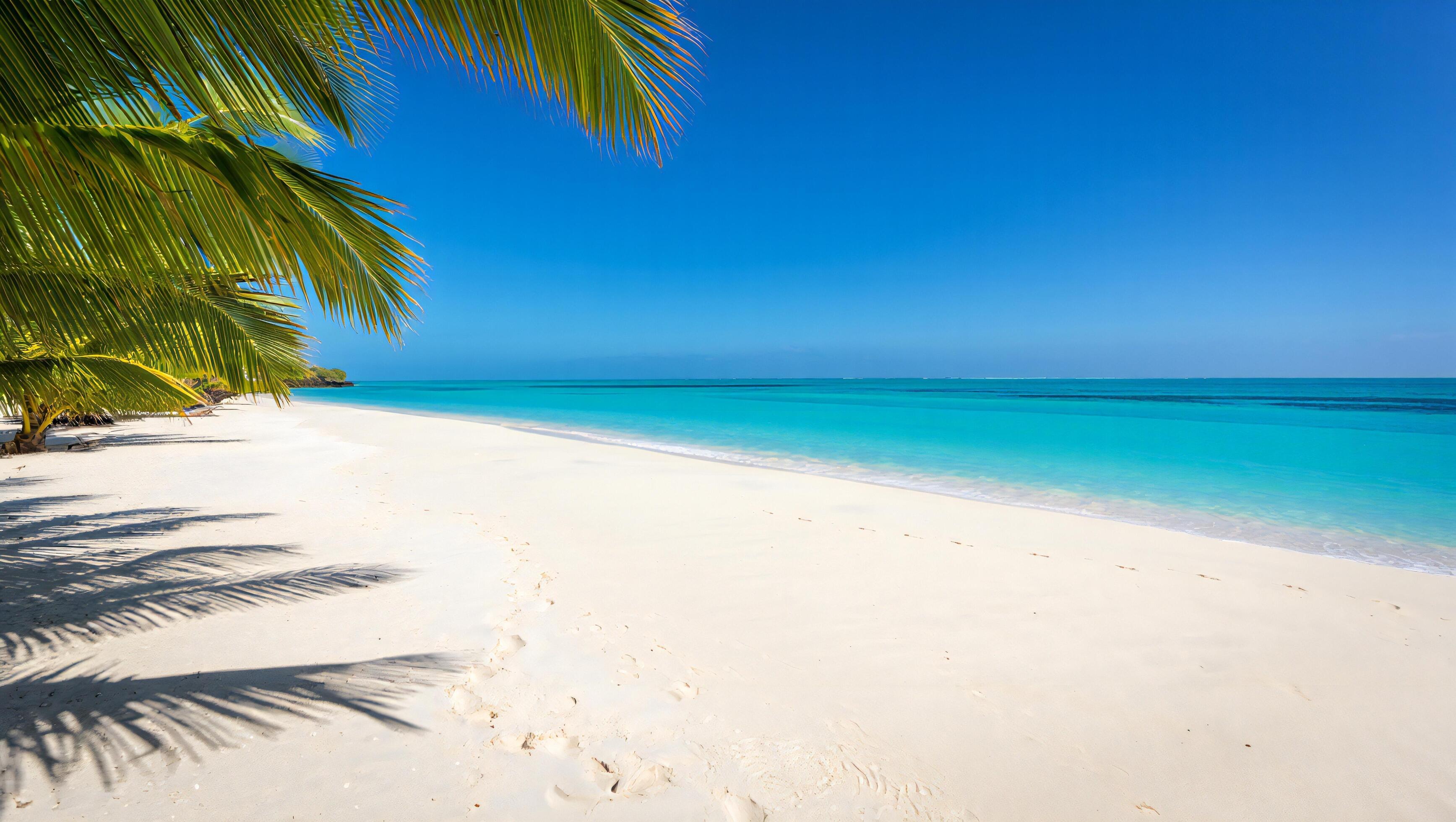 3471x1960 Beach Background Wallpaper Idyllic Tropical Beach Scene White Sand Turquoise Water Palm Trees