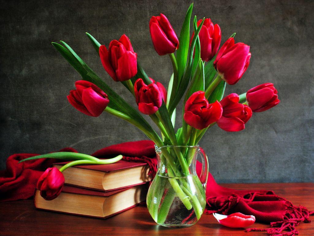 1024x768 Free download are viewing right now the image Beautiful Flower