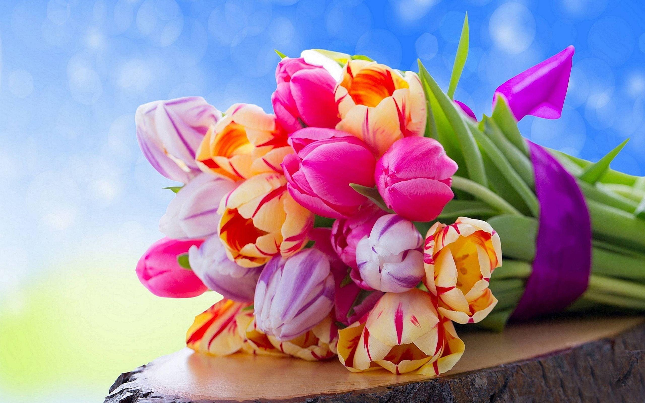 2560x1600 Spring Flower Bouquet HD Wallpaper 498114 :