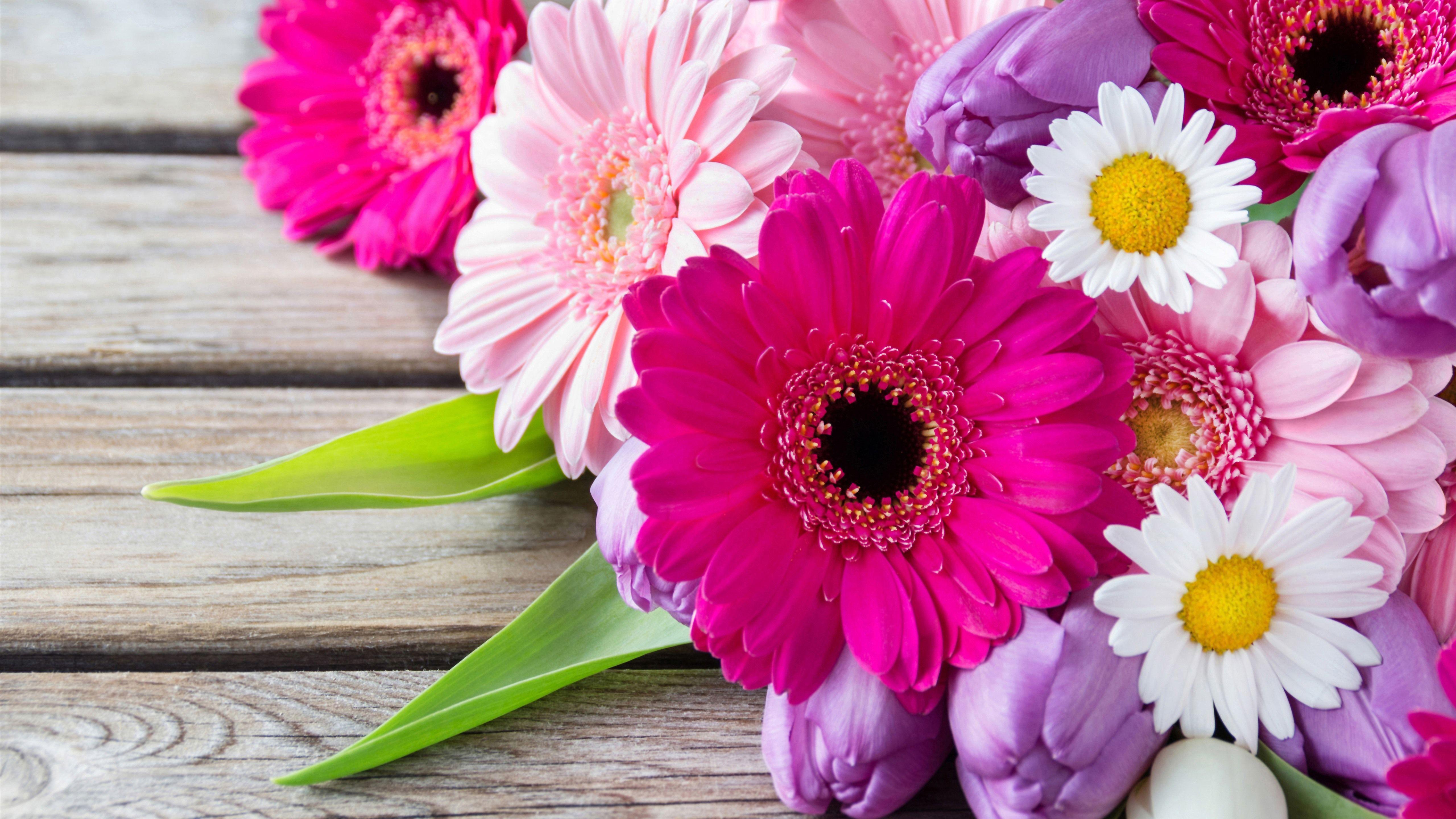 Captivating Types Of Flowers Used In Bouquets Background in HD Captivating Types Of Flowers Used In Bouquets Background in HD