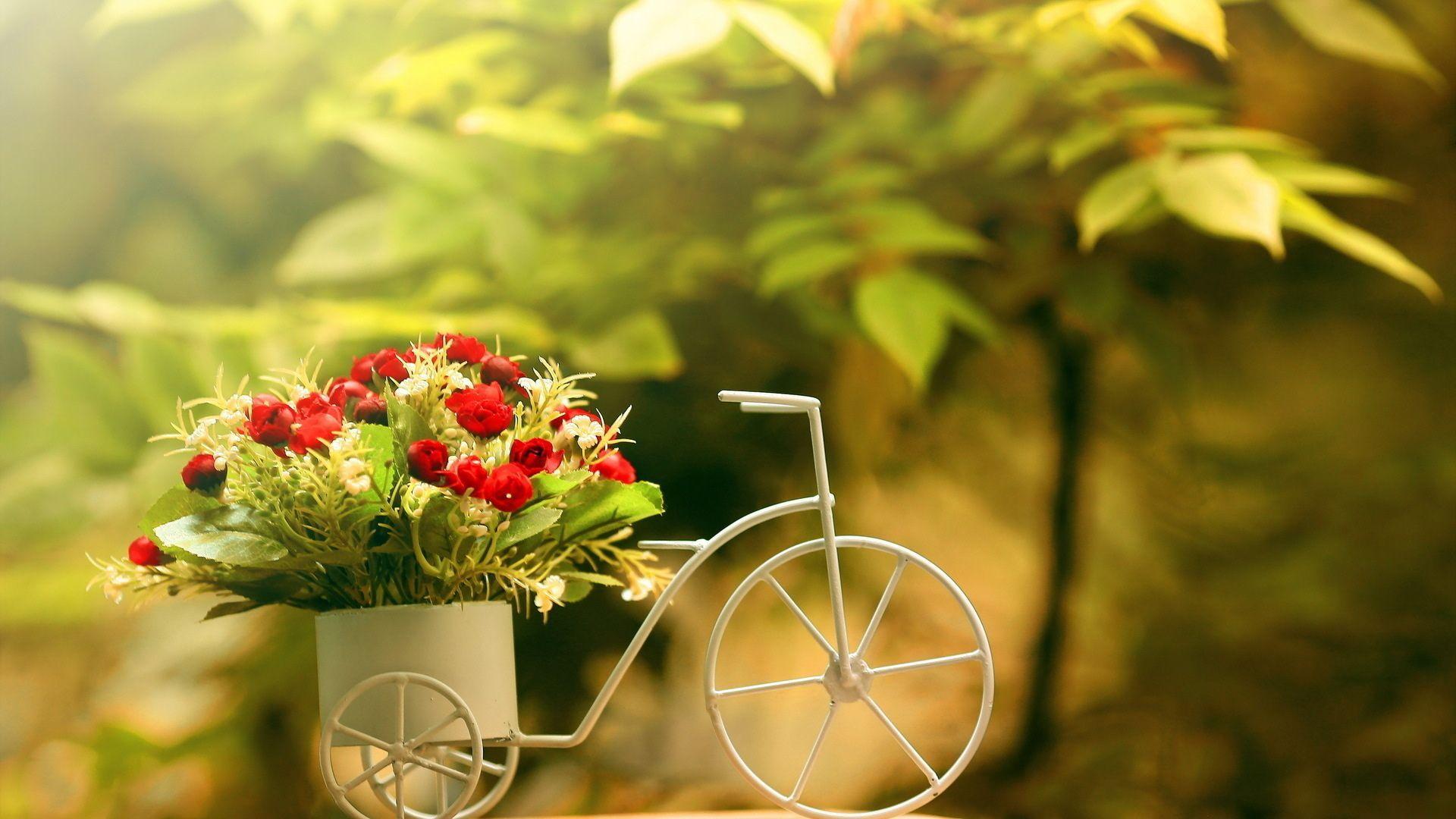 1920x1080 Flowers Bouquet Bicycle Wallpaper- Beautiful flowers