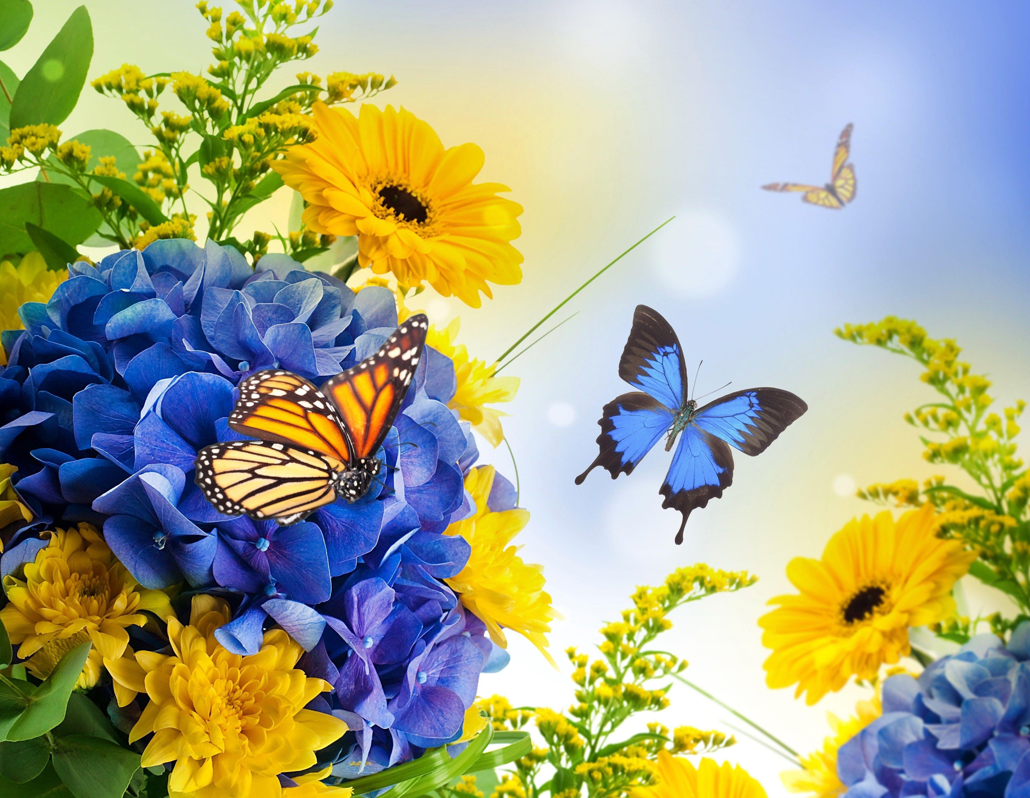 Картинка день бабочек. Бабочка на цветке. Желто голубые цветы. Летние цветы с бабочками. Красивый букет с бабочками.