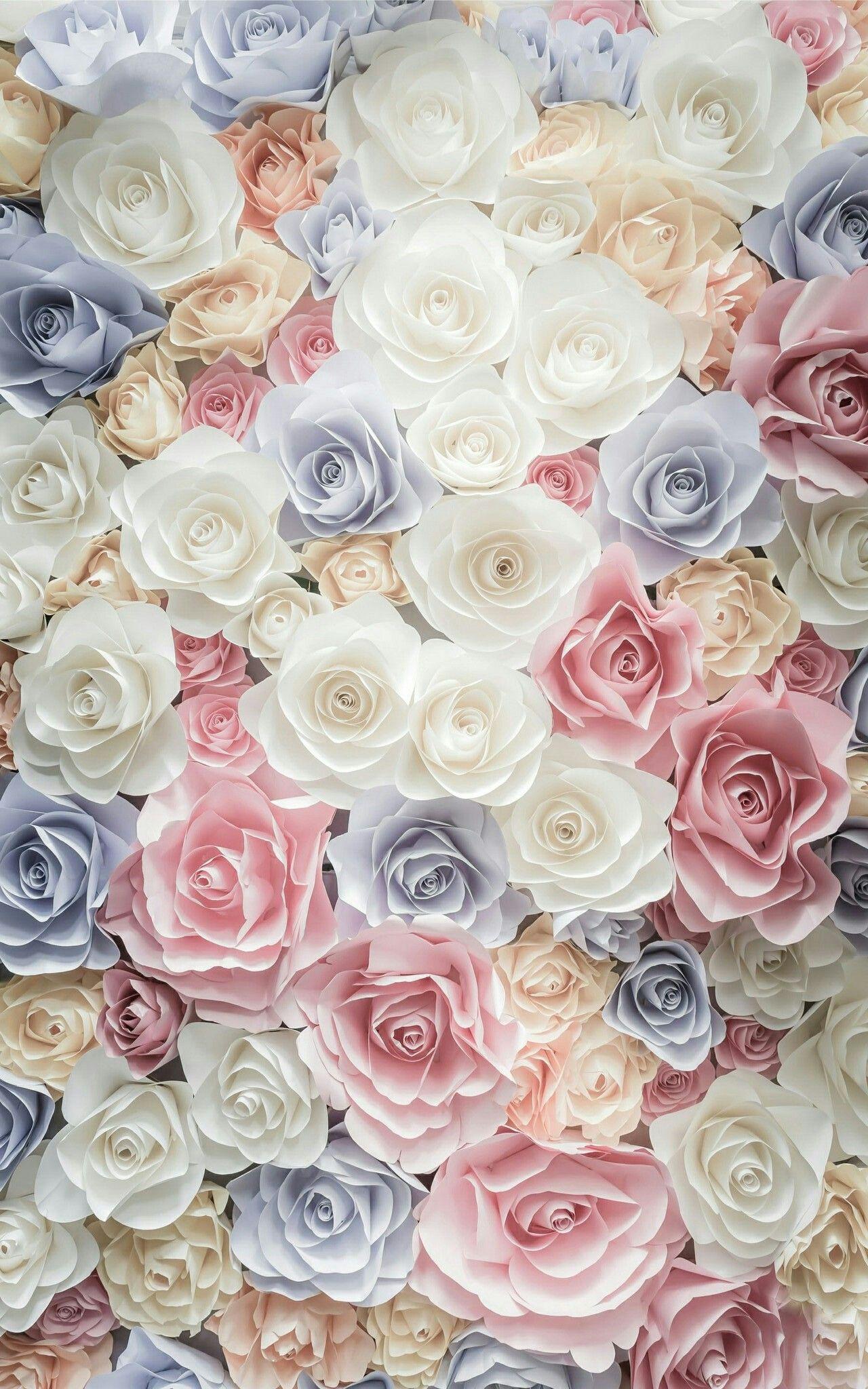 1280x2048 iPhone Wallpaper. Flower, Garden roses, Rose, Cut flowers